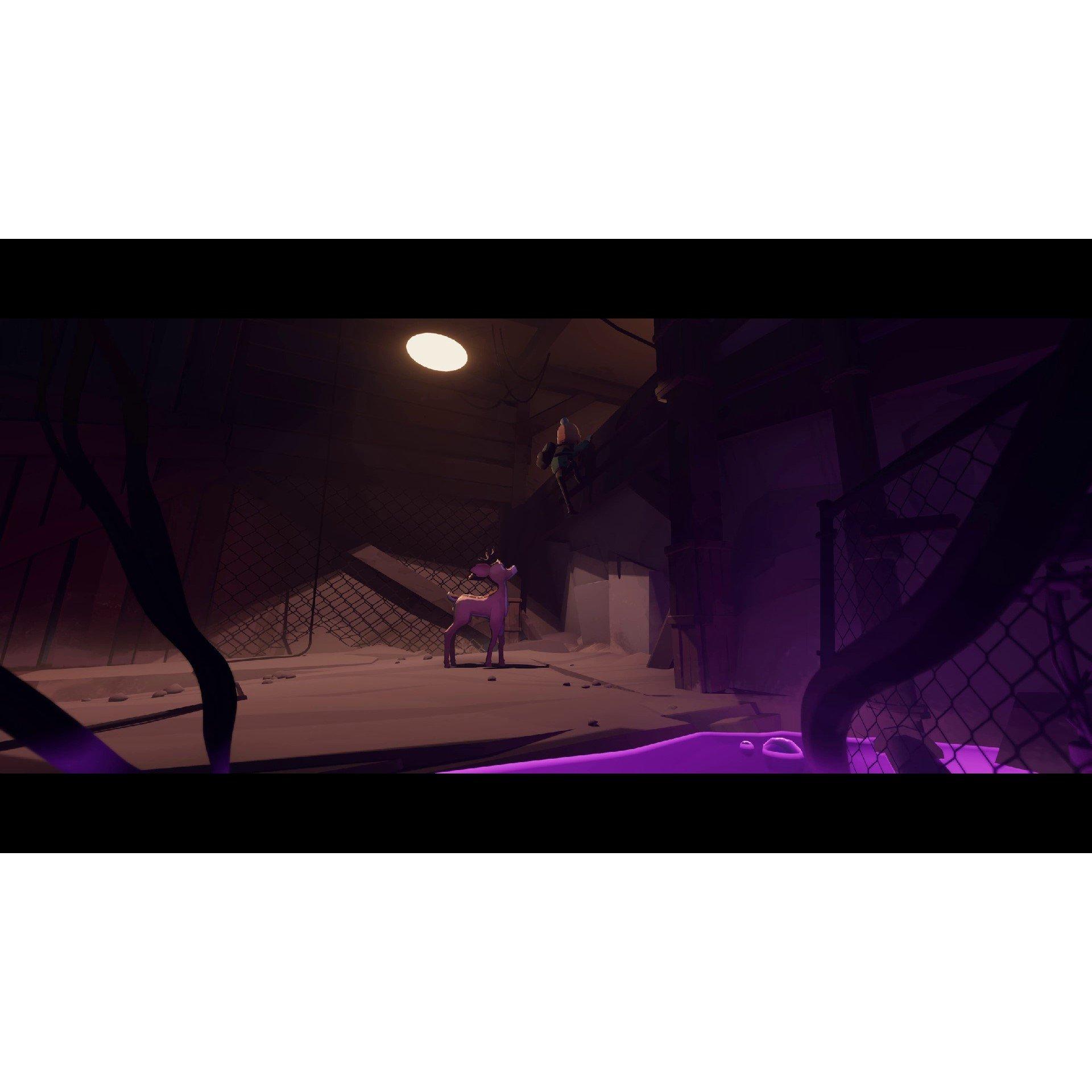 PS5 - Maximum Games - Deer & Boy - 5