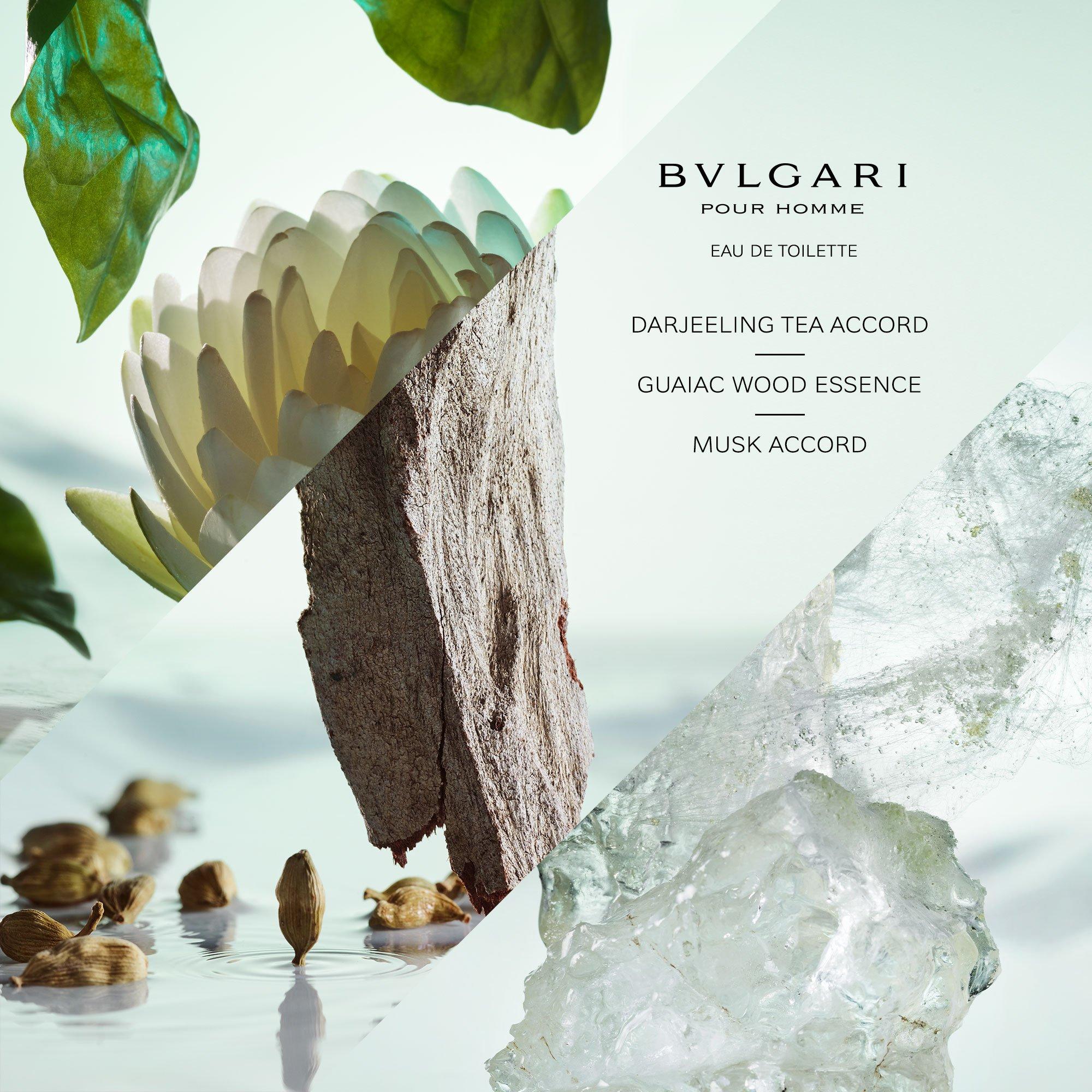Clear - Bvlgari - Pour Homme Spring Set - 3