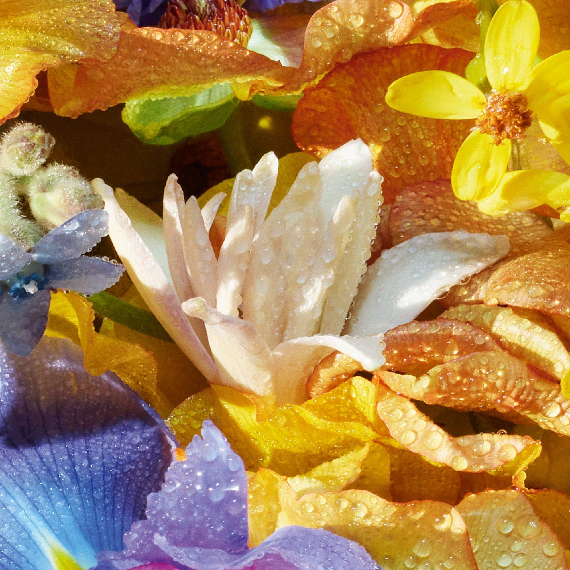 Clear - Guerlain - Aqua Allegoria Florabloom Eau de Toilette - 3