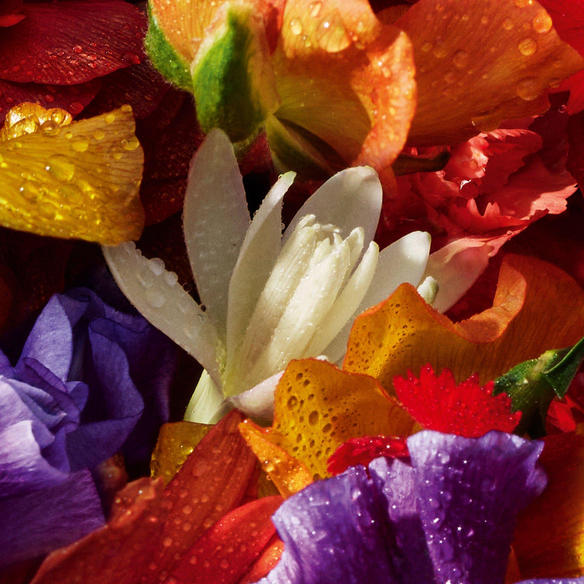 Clear - Guerlain - Aqua Allegoria Florabloom Forte  Eau de Parfum - 3