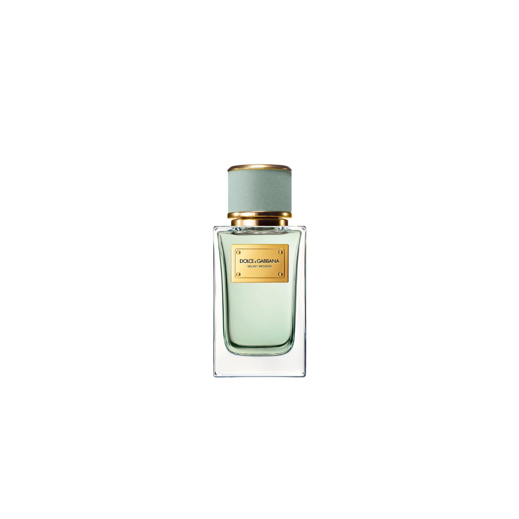 Clear - Dolce and Gabbana - Velvet Infusion Eau de Parfum - 2
