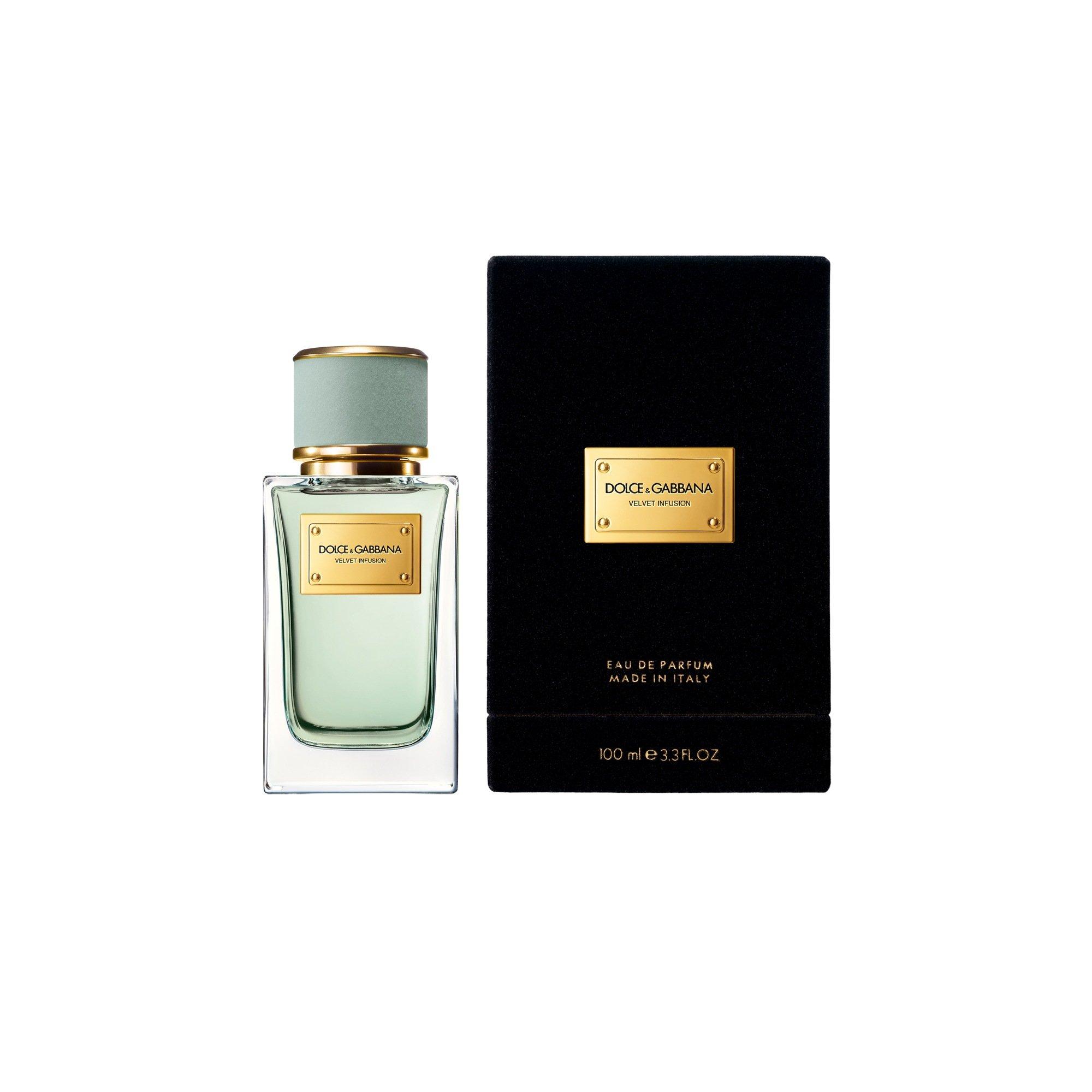 Clear - Dolce and Gabbana - Velvet Infusion Eau de Parfum - 3