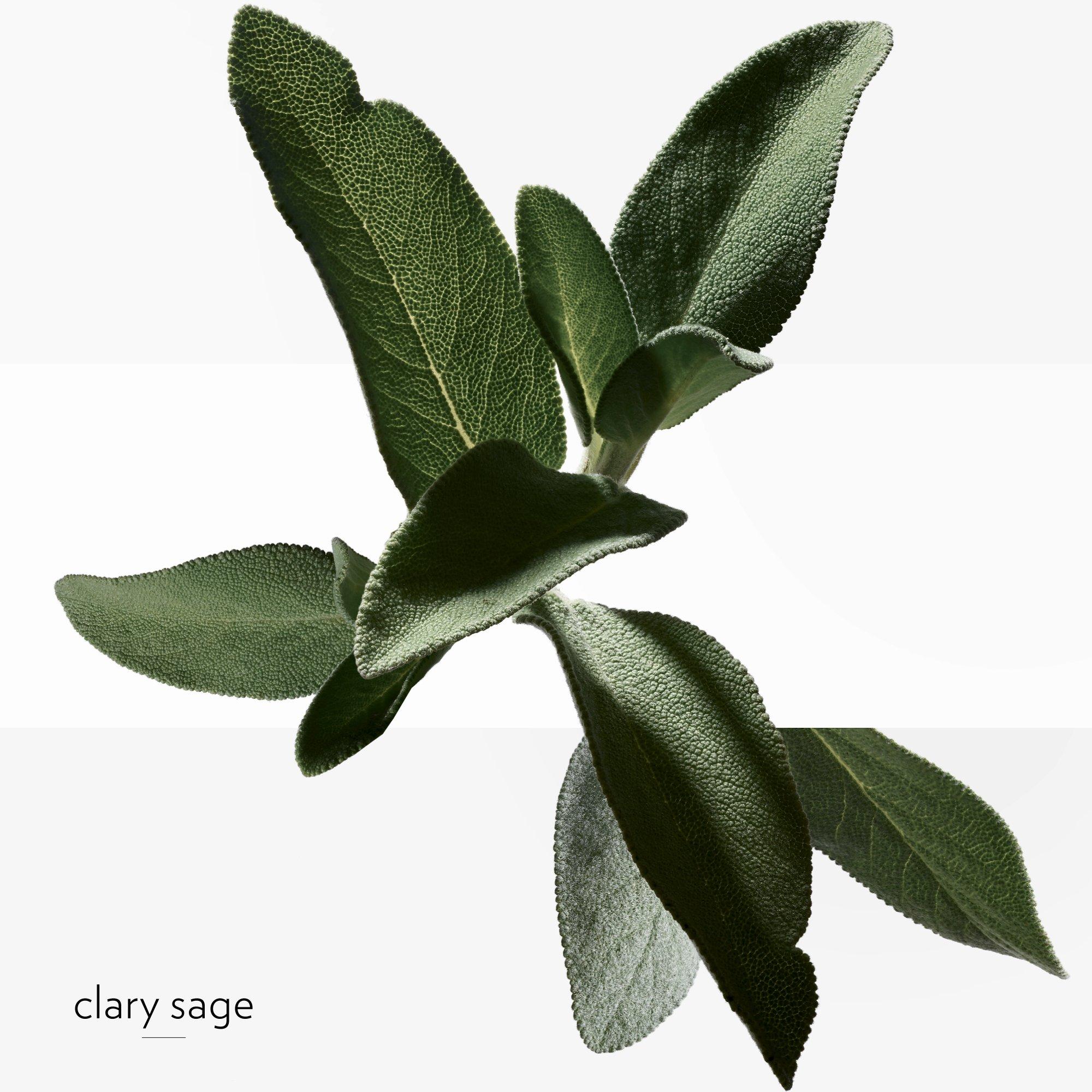 Clear - Hermes - H24, Eau de toilette 30ml - 4