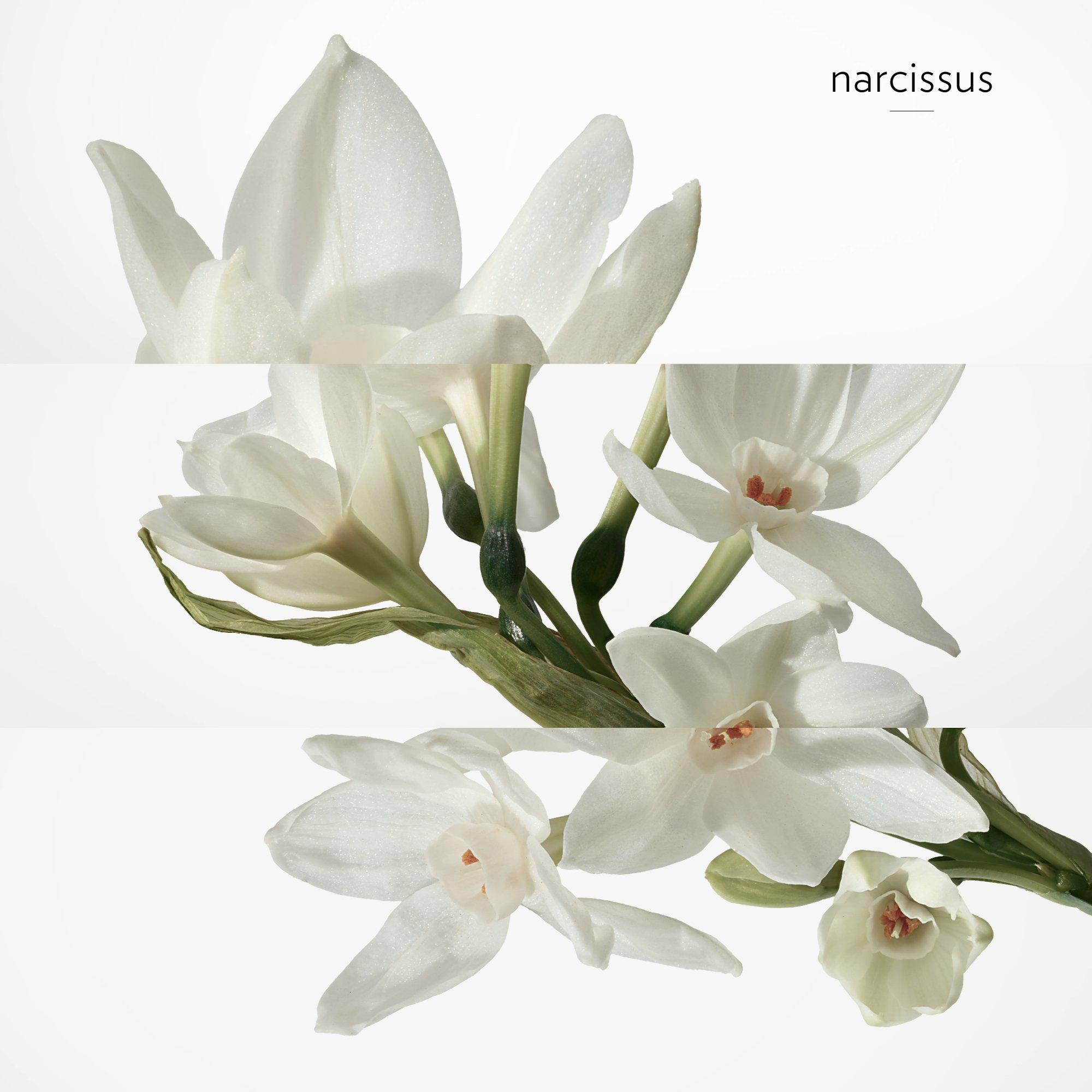 Clear - Hermes - H24, Eau de toilette 30ml - 5