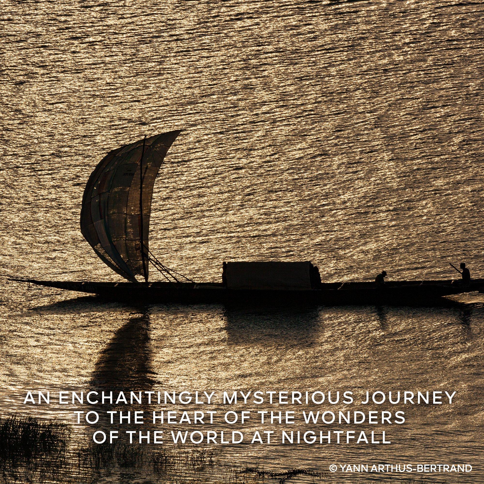 Clear - Guerlain - Absolus Allegoria Rose Amira Eau de Parfum - 5