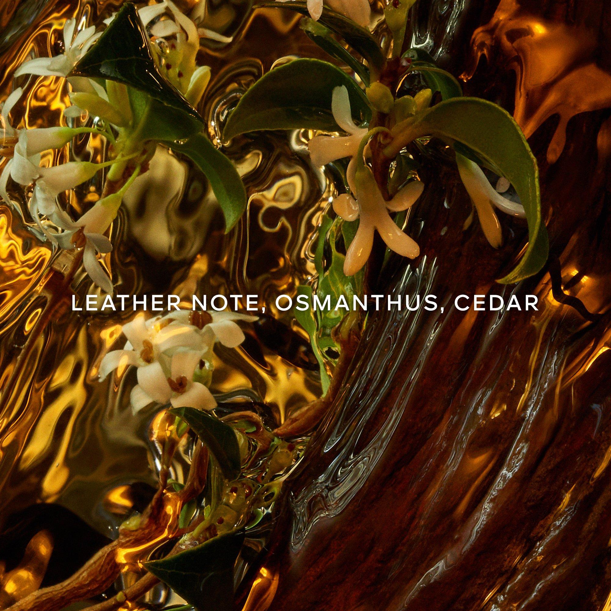 Clear - Guerlain - Absolus Allegoria Cuir Intense Eau de Parfum - 3