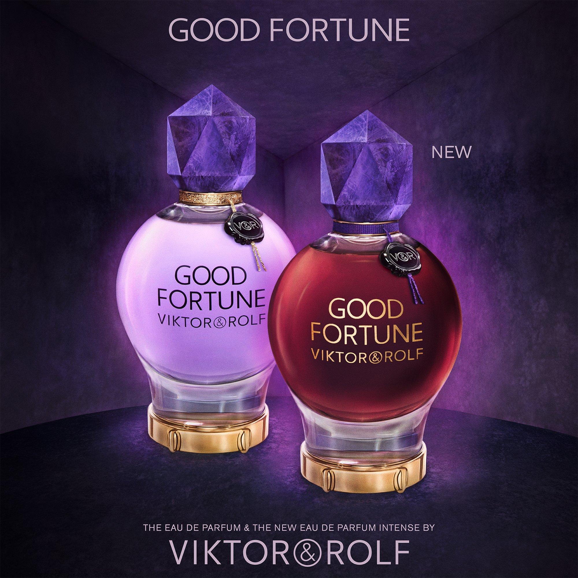 Mist - Viktor and Rolf - Good Fortune EDP - 5