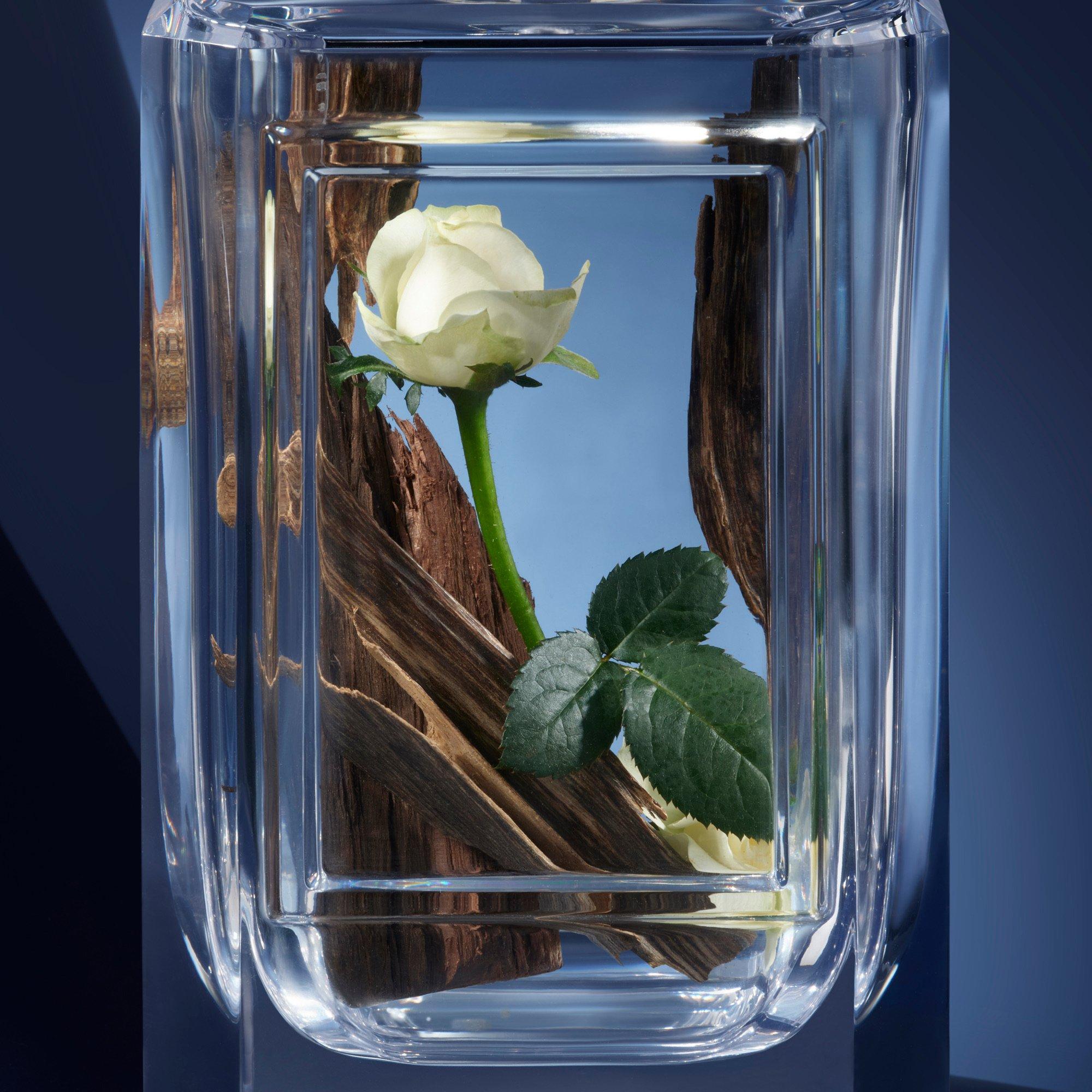 Clear - Prada Beauty - Beauty Olfactories Miracle Rose Eau de Parfum - 5