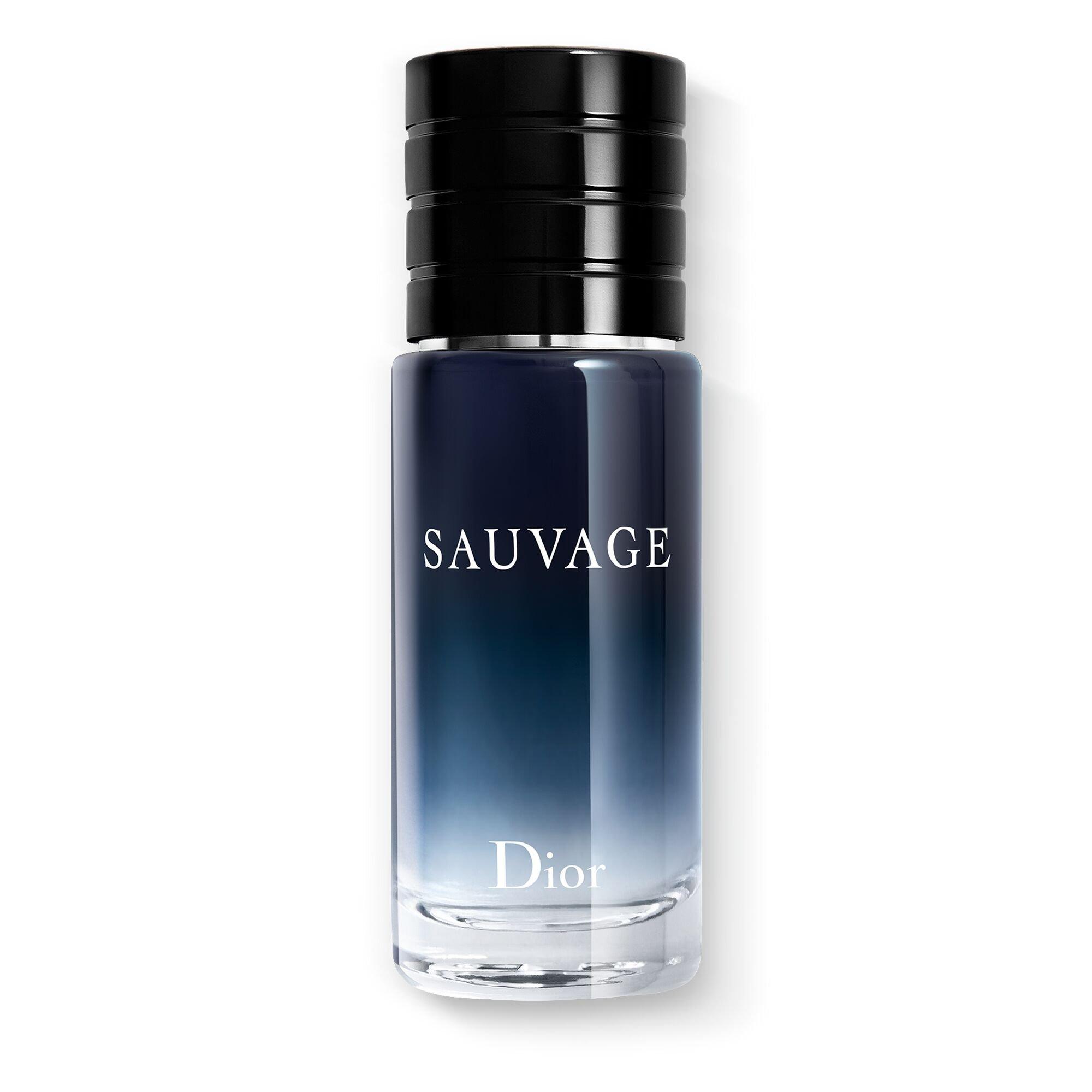 Mist - DIOR - Sauvage Eau de Toilette - 1