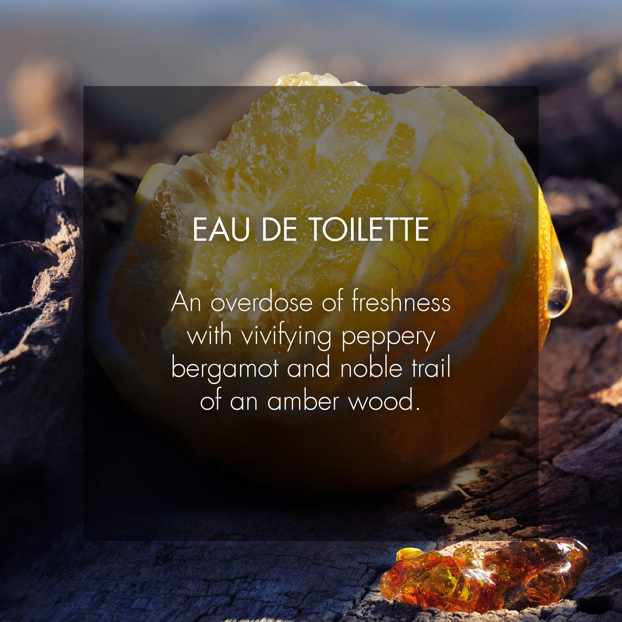 Mist - DIOR - Sauvage Eau de Toilette - 3