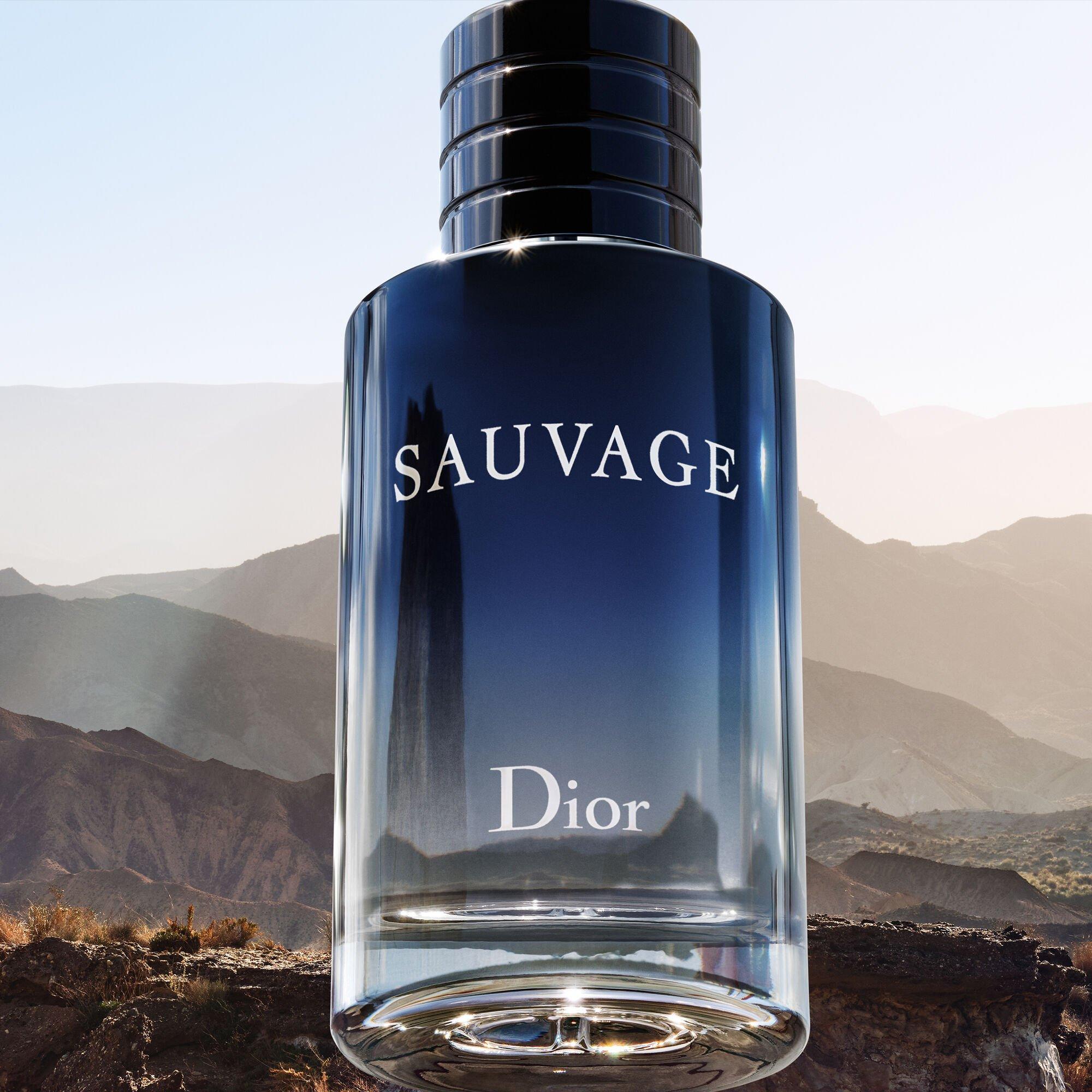 Mist - DIOR - Sauvage Eau de Toilette - 6