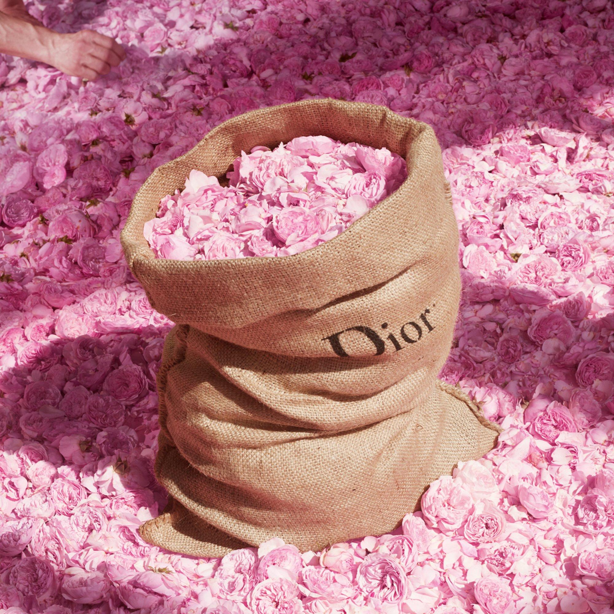 Mist - DIOR - Miss Dior Blooming Bouquet Eau De Toilette - 6