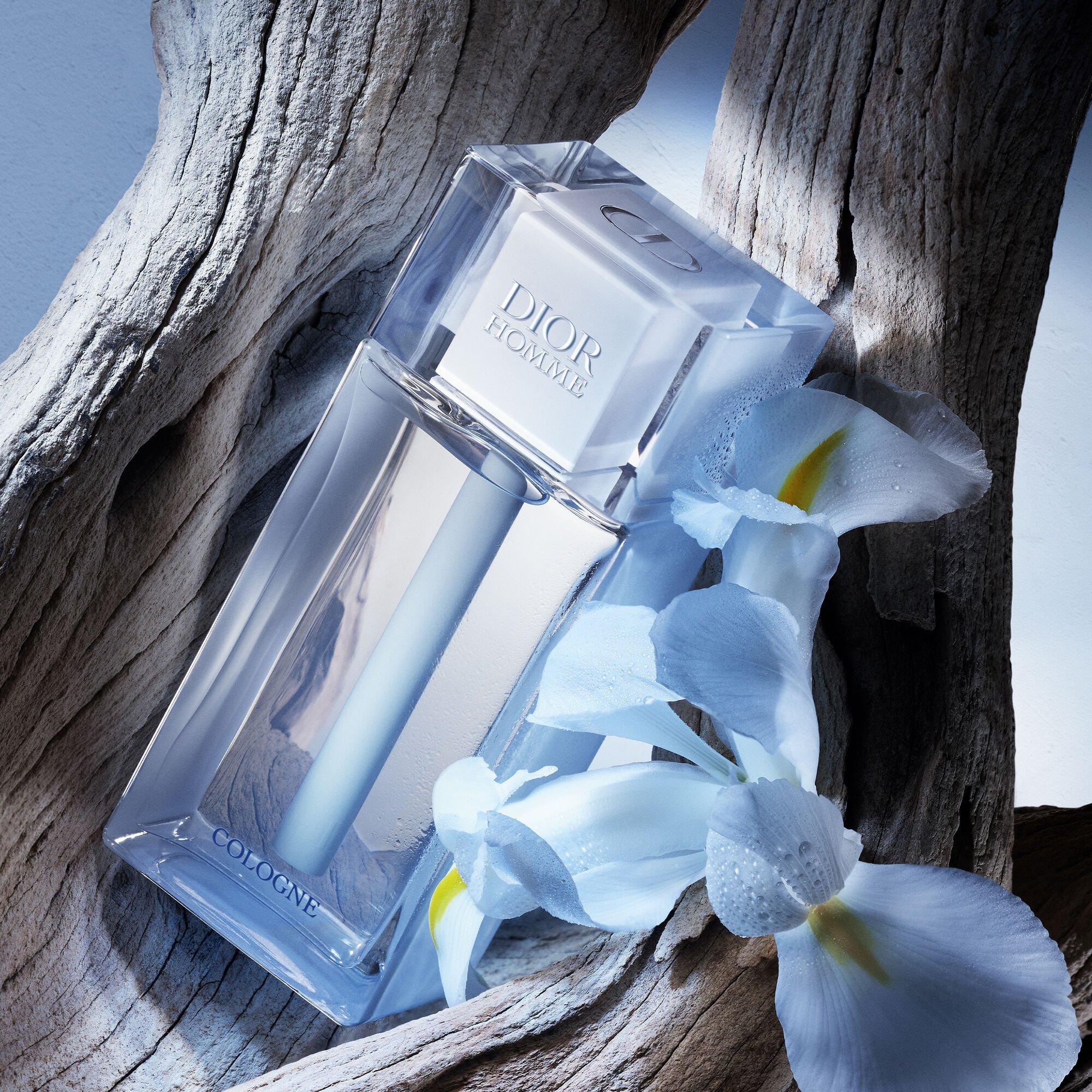 Mist - DIOR - Dior Homme Cologne - 2