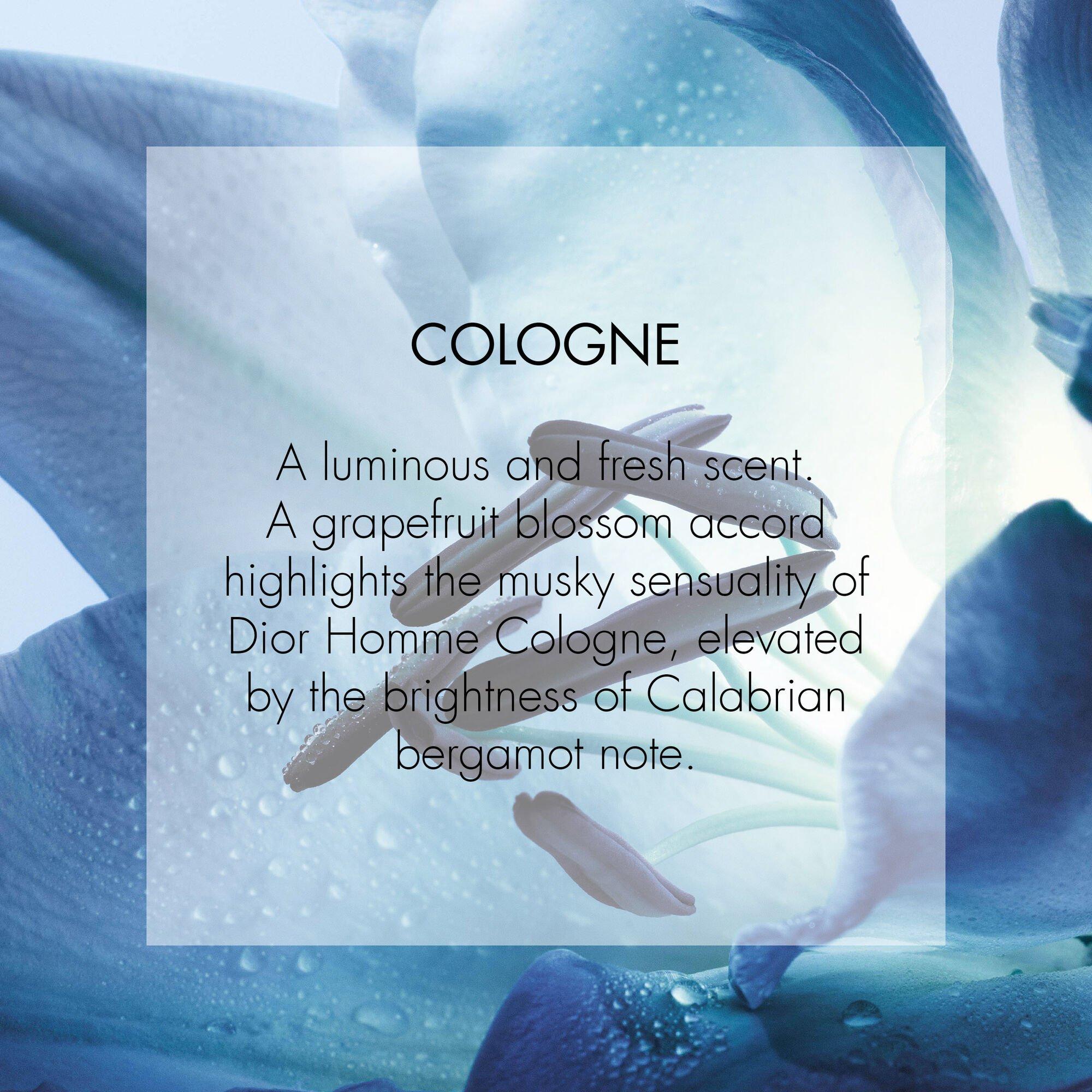 Mist - DIOR - Dior Homme Cologne - 3