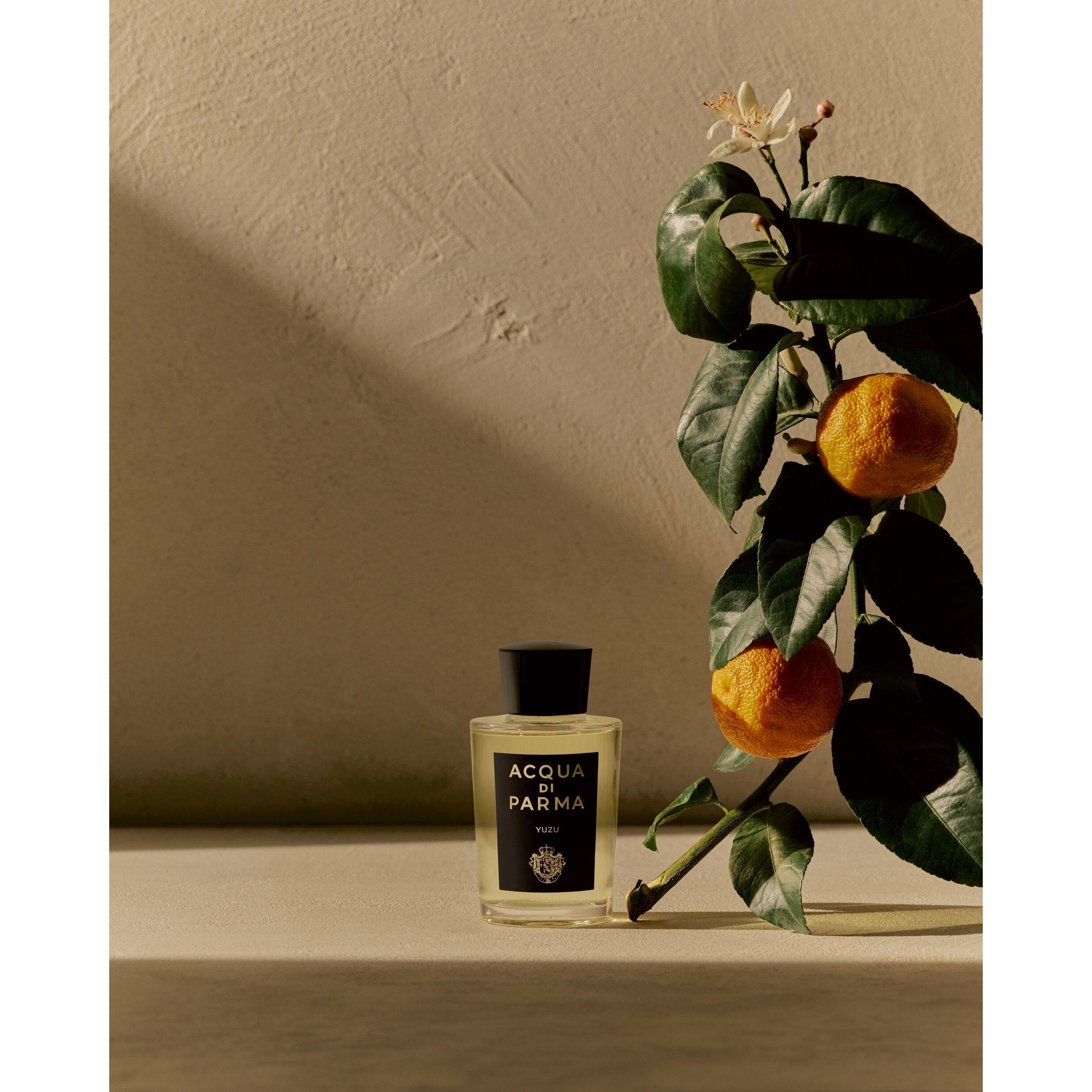 Mist - Acqua Di Parma - Signatures of the Sun Yuzu Eau de Parfum - 4