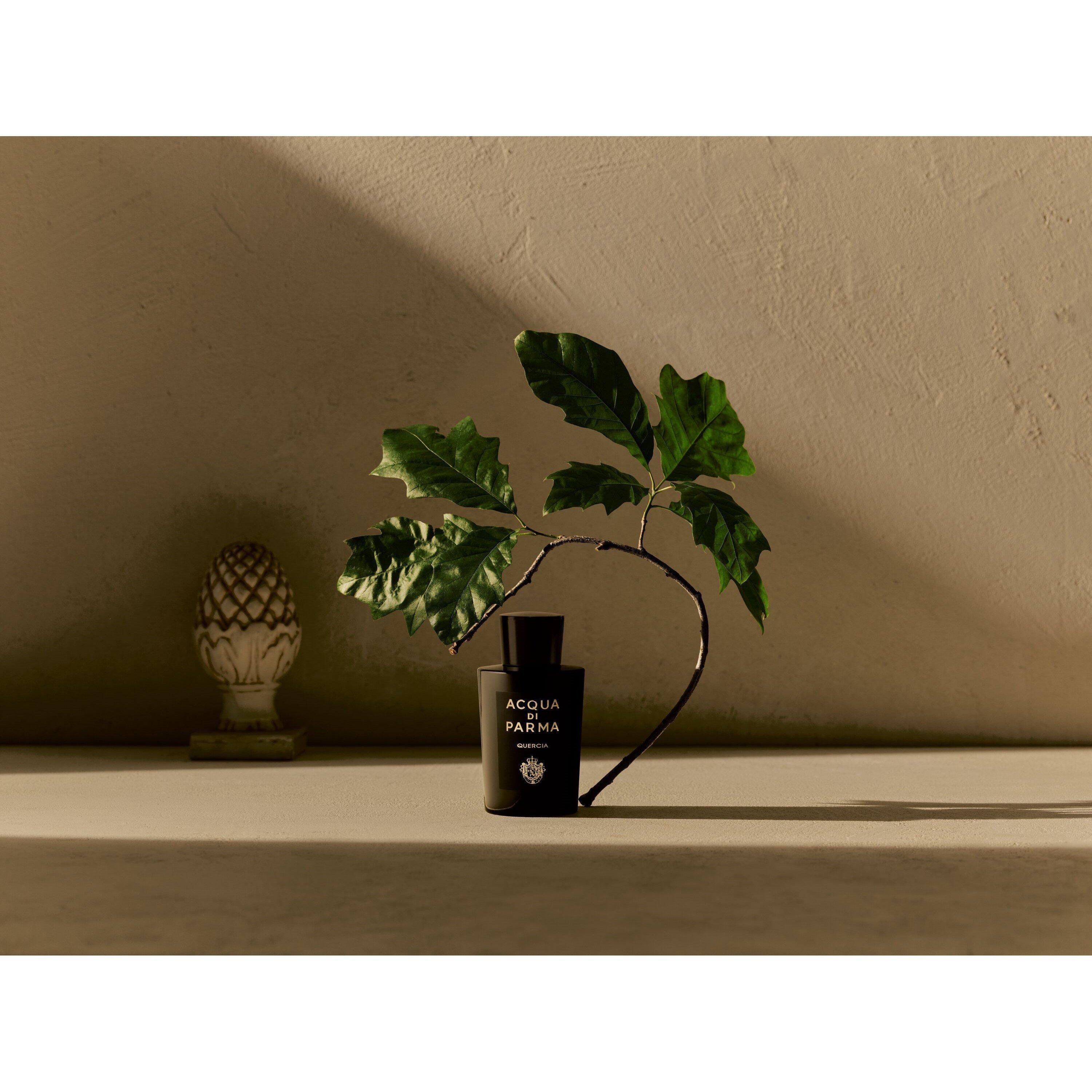 Mist - Acqua Di Parma - Signatures of the Sun Quercia Eau de Parfum - 4