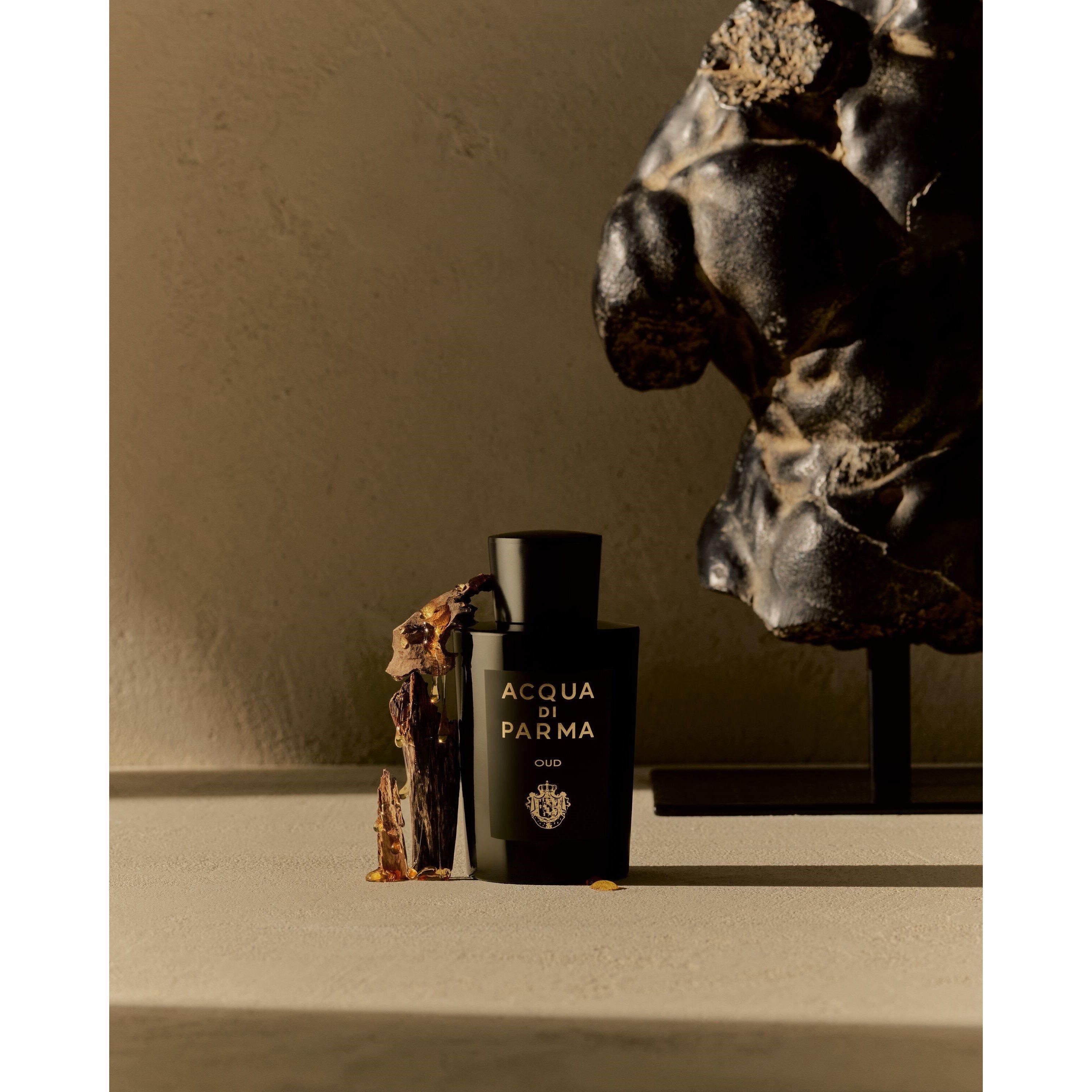 Mist - Acqua Di Parma - Signatures of the Sun Oud Eau de Parfum - 4