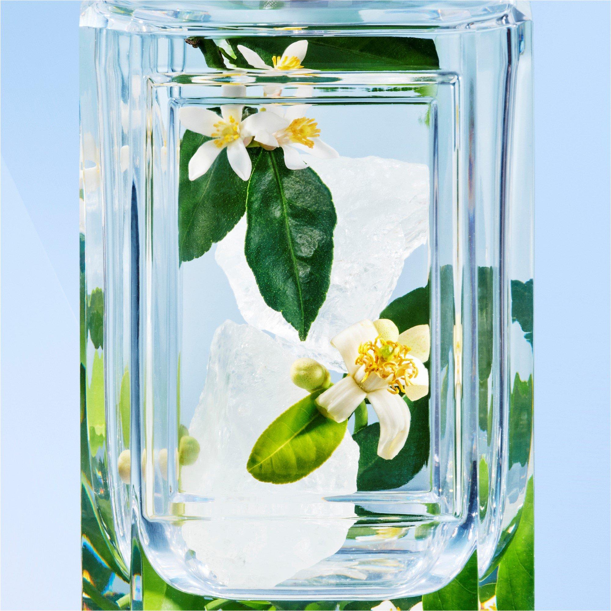 Clear - Prada Beauty - Prada Olfactories Unchant D'Amour Eau De Parfum - 5