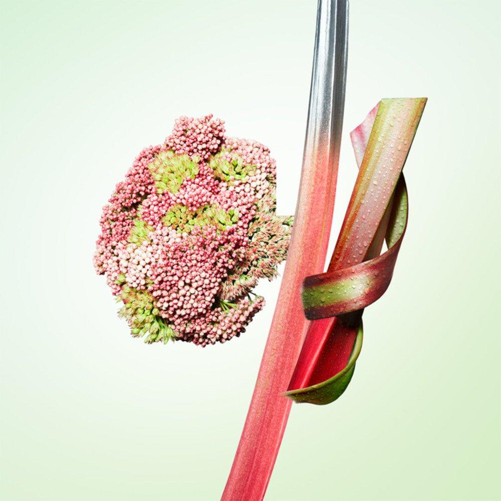 Clear - Prada Beauty - Beauty Infusion de Rhubarbe Eau de Parfum - 2