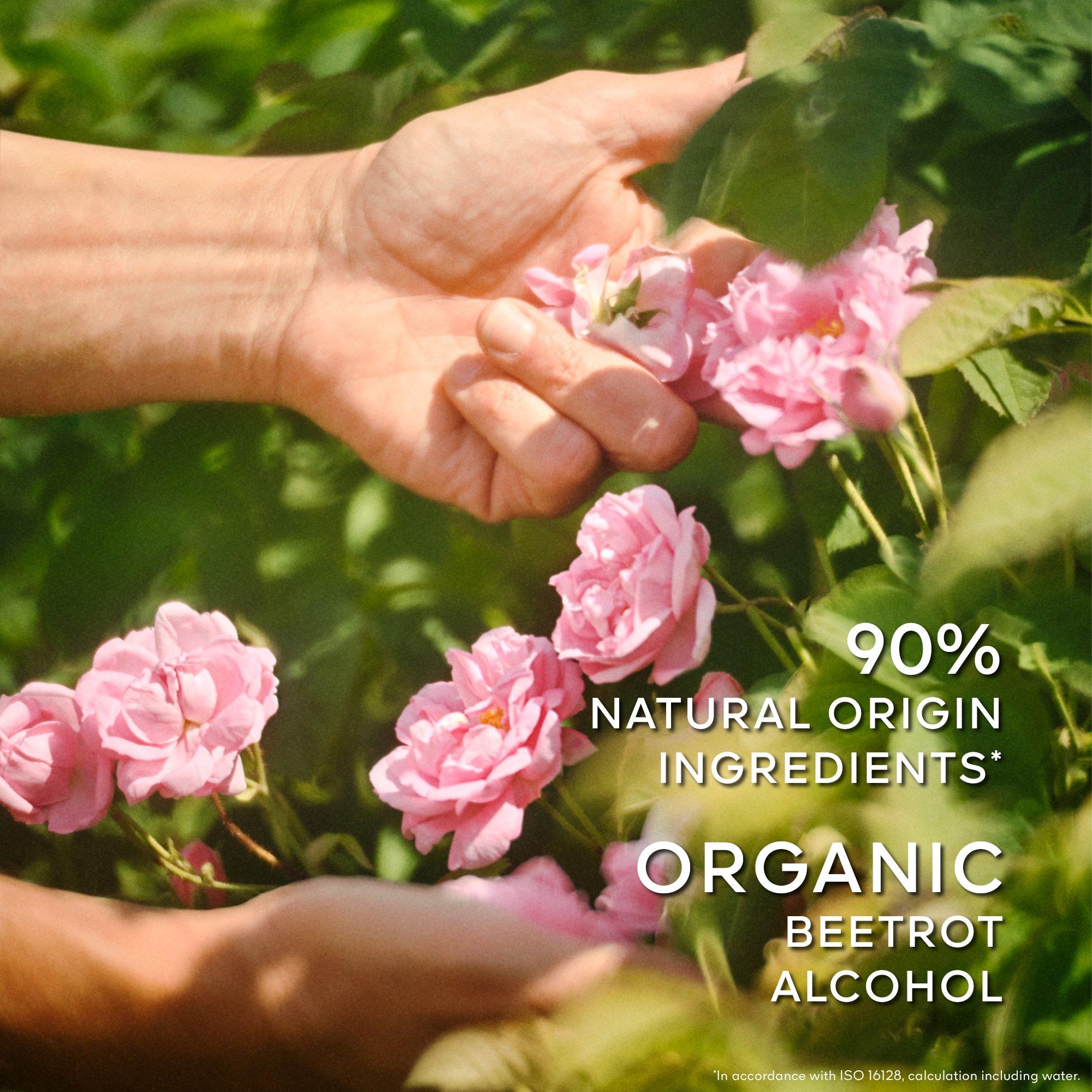 Clear - Guerlain - La Petite Robe Noire Eau de Toilette - 4