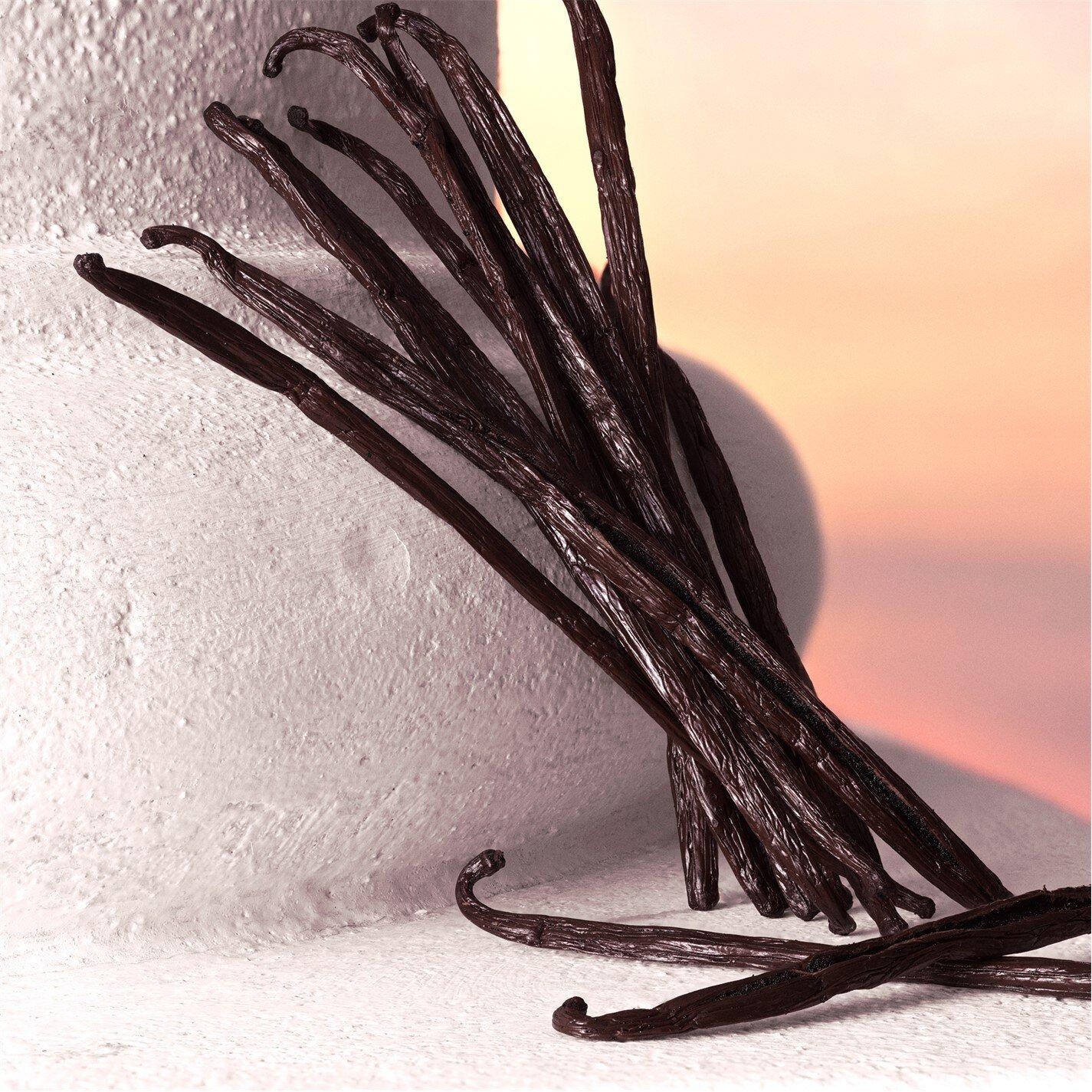 Clear - Dolce and Gabbana - Devotion Eau de Parfum Intense - 3