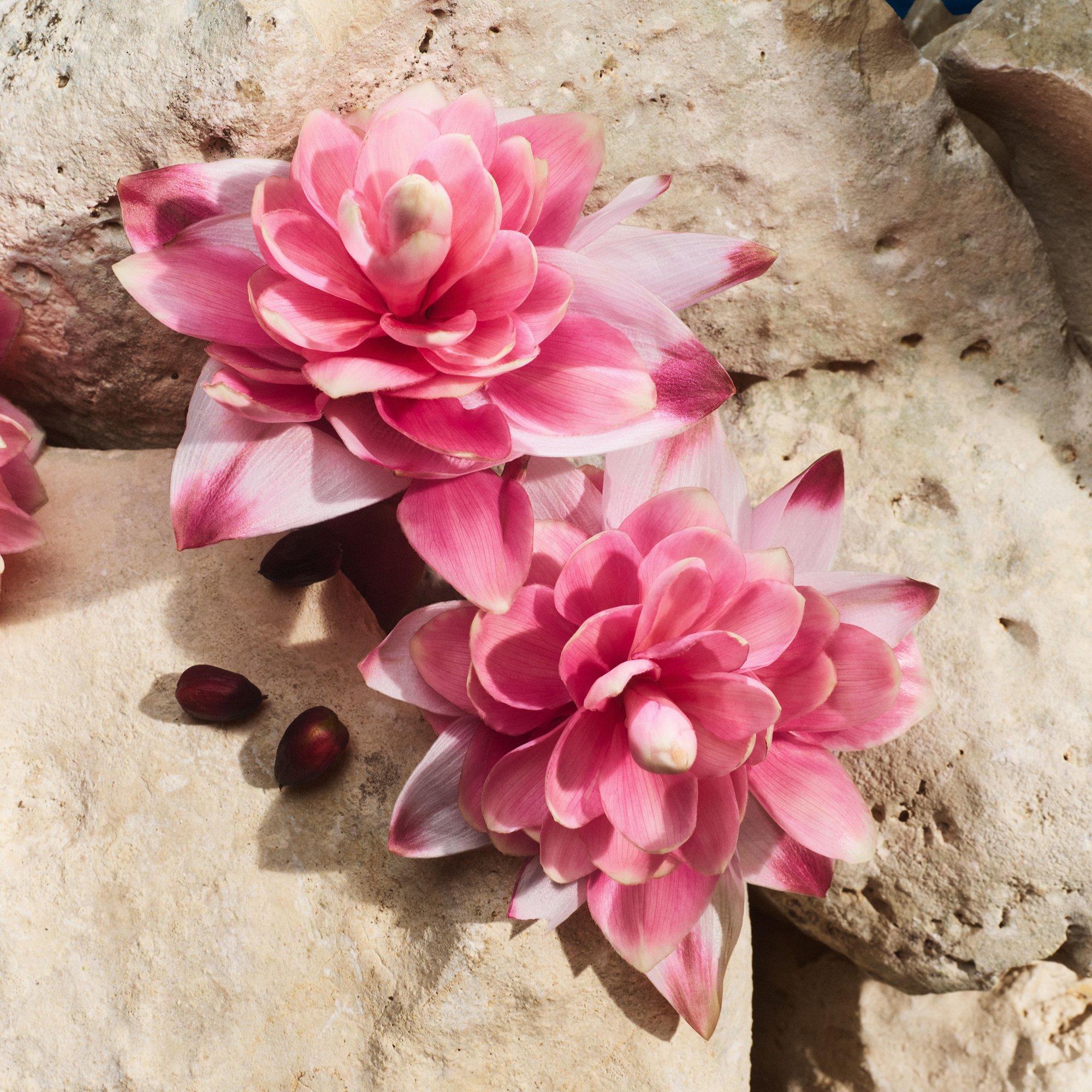 Clear - Dolce and Gabbana - DG Capri PF EDP Ld00 - 7