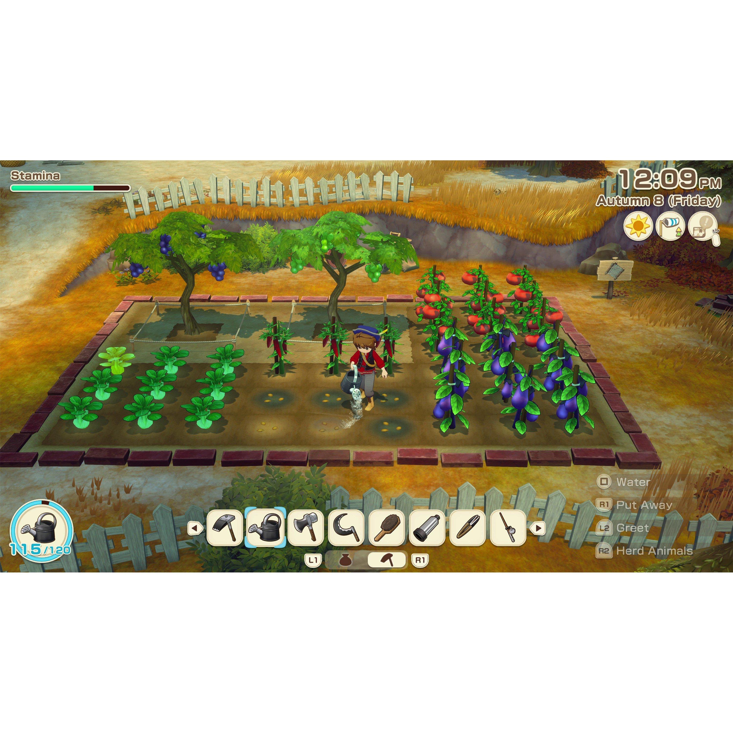 PS5 - U and I Entertainment - Story Of Seasons: Grand Bazaar - 4