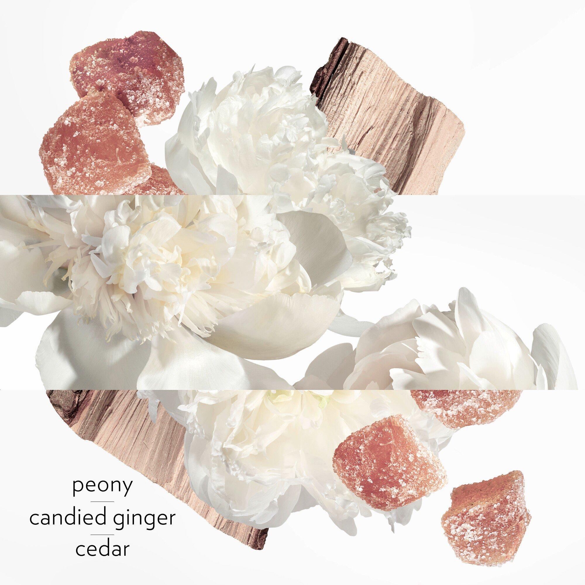 Yellow - Hermes - Twilly d'Hermès Eau Ginger Eau de Parfum - 3