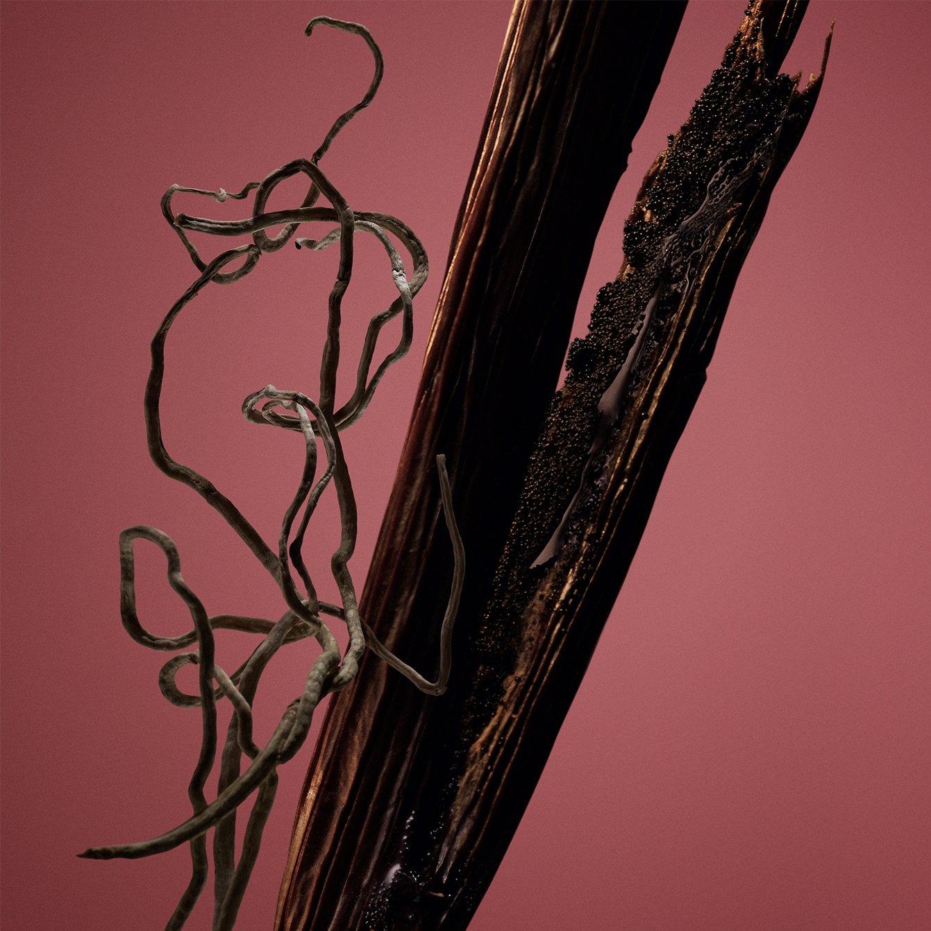 Scent Absolute - Boss - Women's THE SCENT Absolute Intense Fragrance - 8