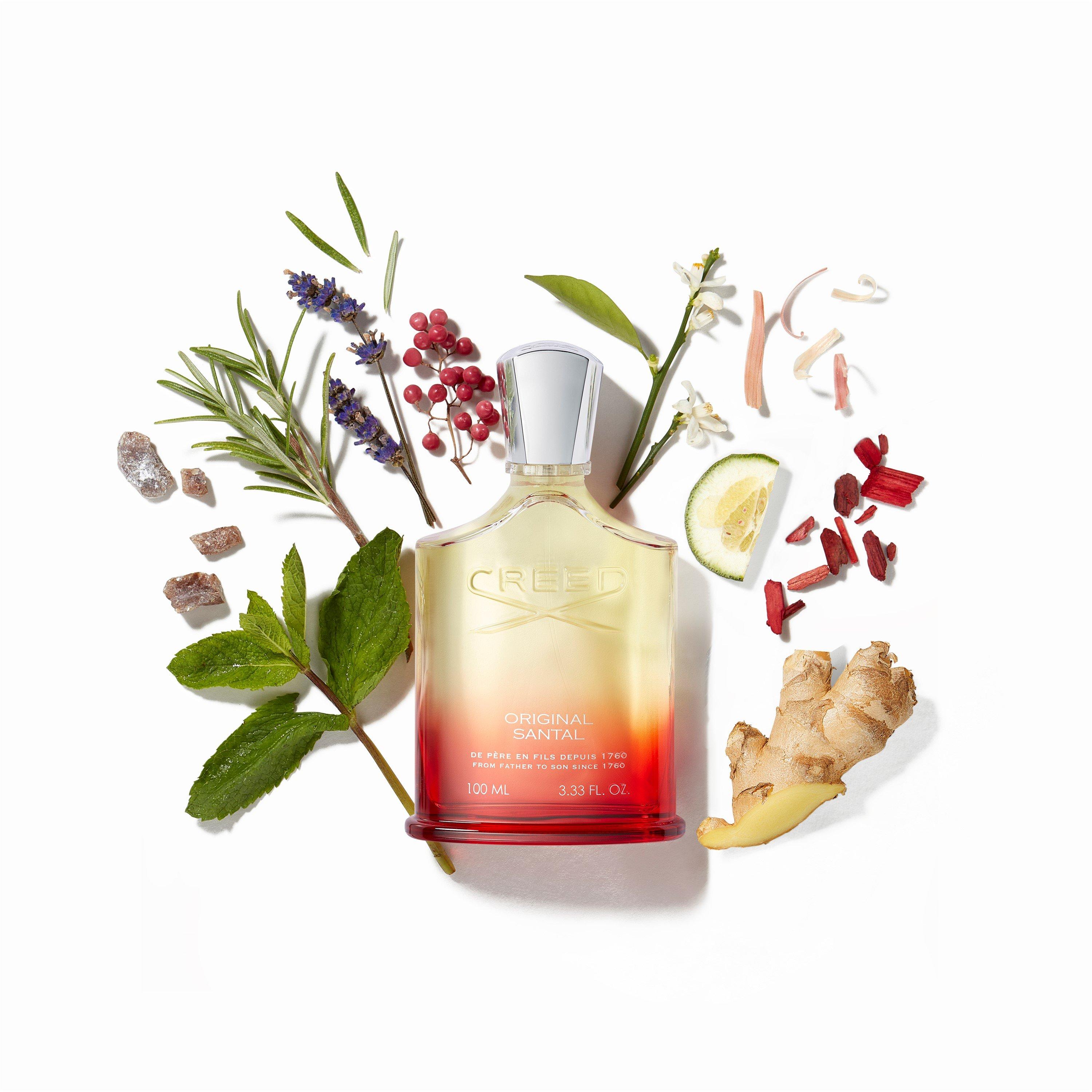 Clear - Creed - Original Santal Eau de Parfum 240ml - 2