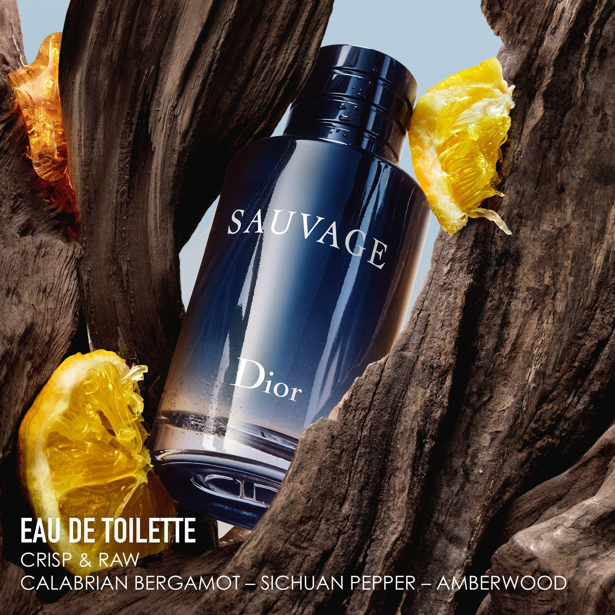 None - DIOR - Sauvage Eau de Toilette 100ml - Limited Edition Gift Box - 3