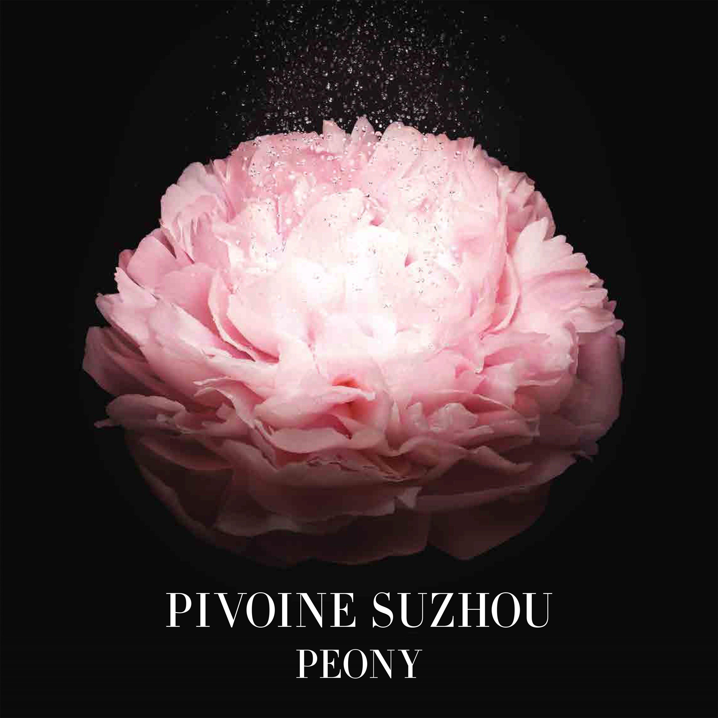 Pivoine Suzhou - Armani Beauty - Armani Prive Pivoine Suzhou - 4