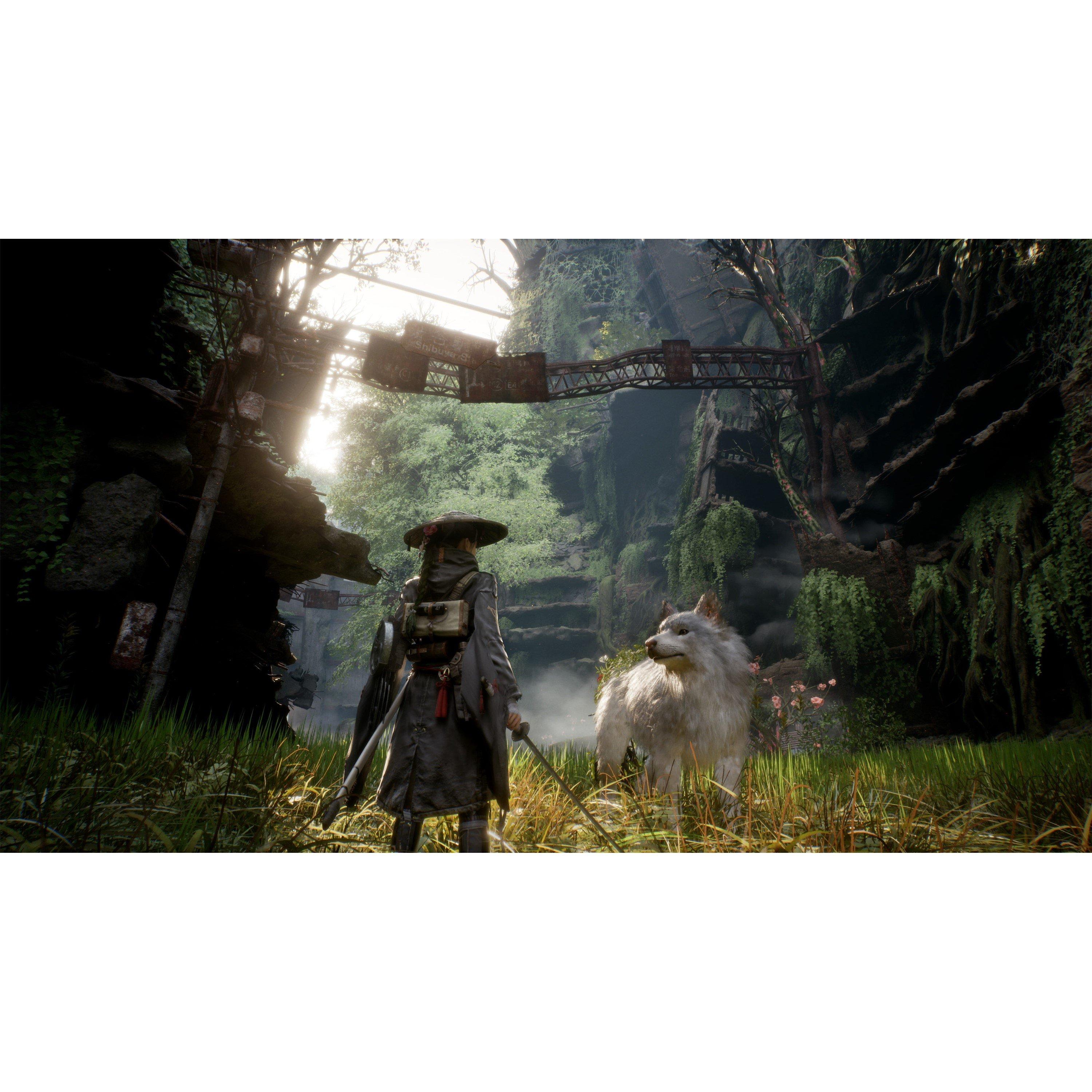 XBS - Game Freak / Creatures - Beast of Reincarnation - 3