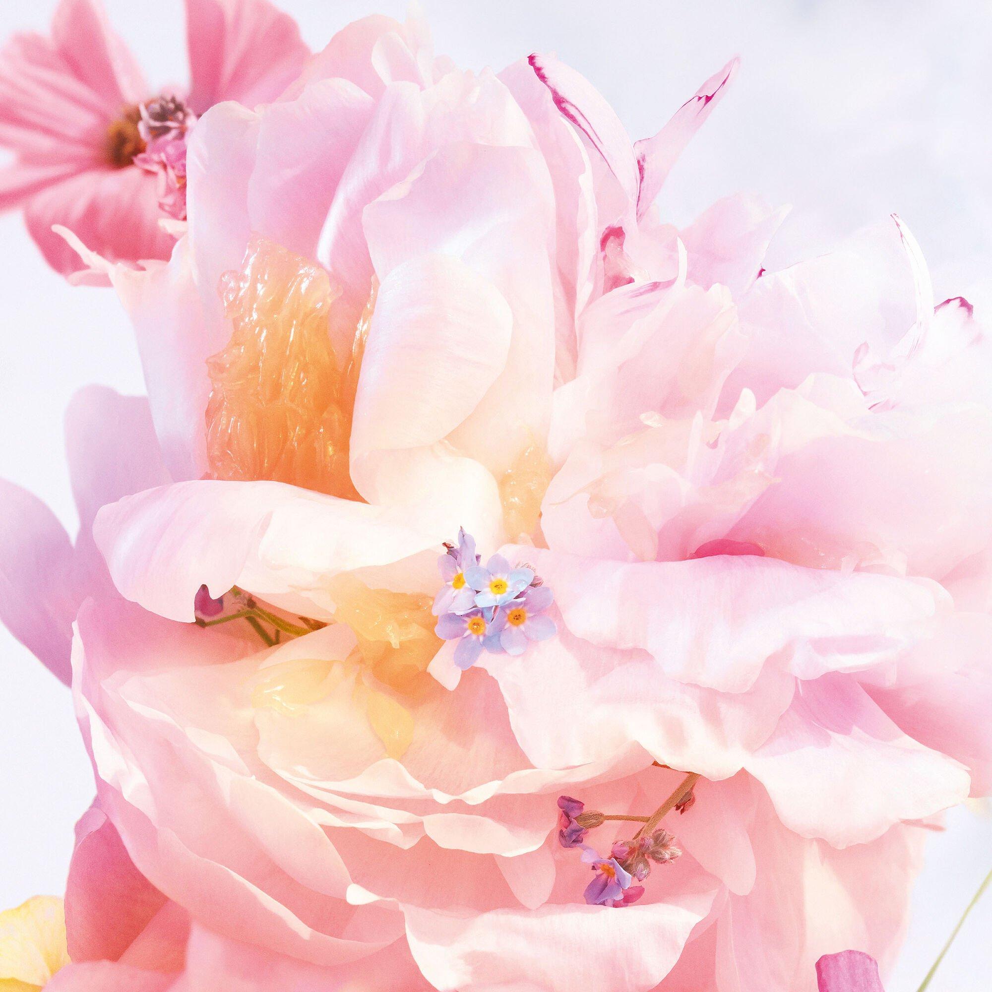 None - DIOR - Miss Dior Blooming Bouquet Roller-Pearl - 2