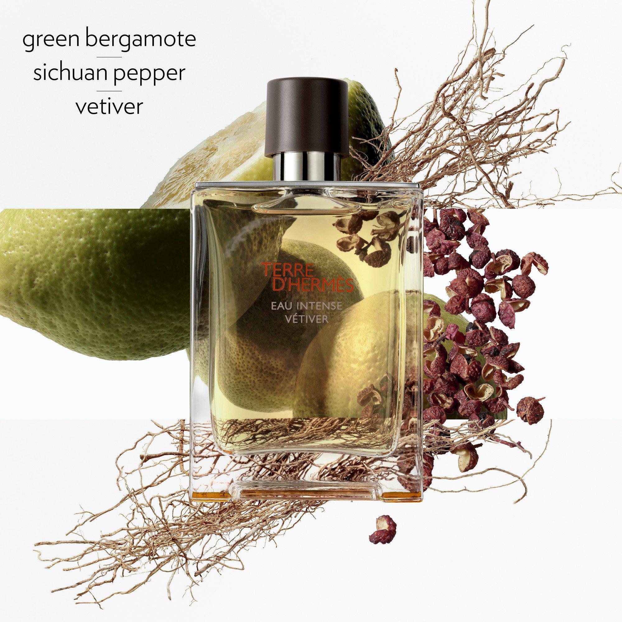 Hermes Terre dHermes Eau Intense Vetiver Eau de parfum | FRASERS