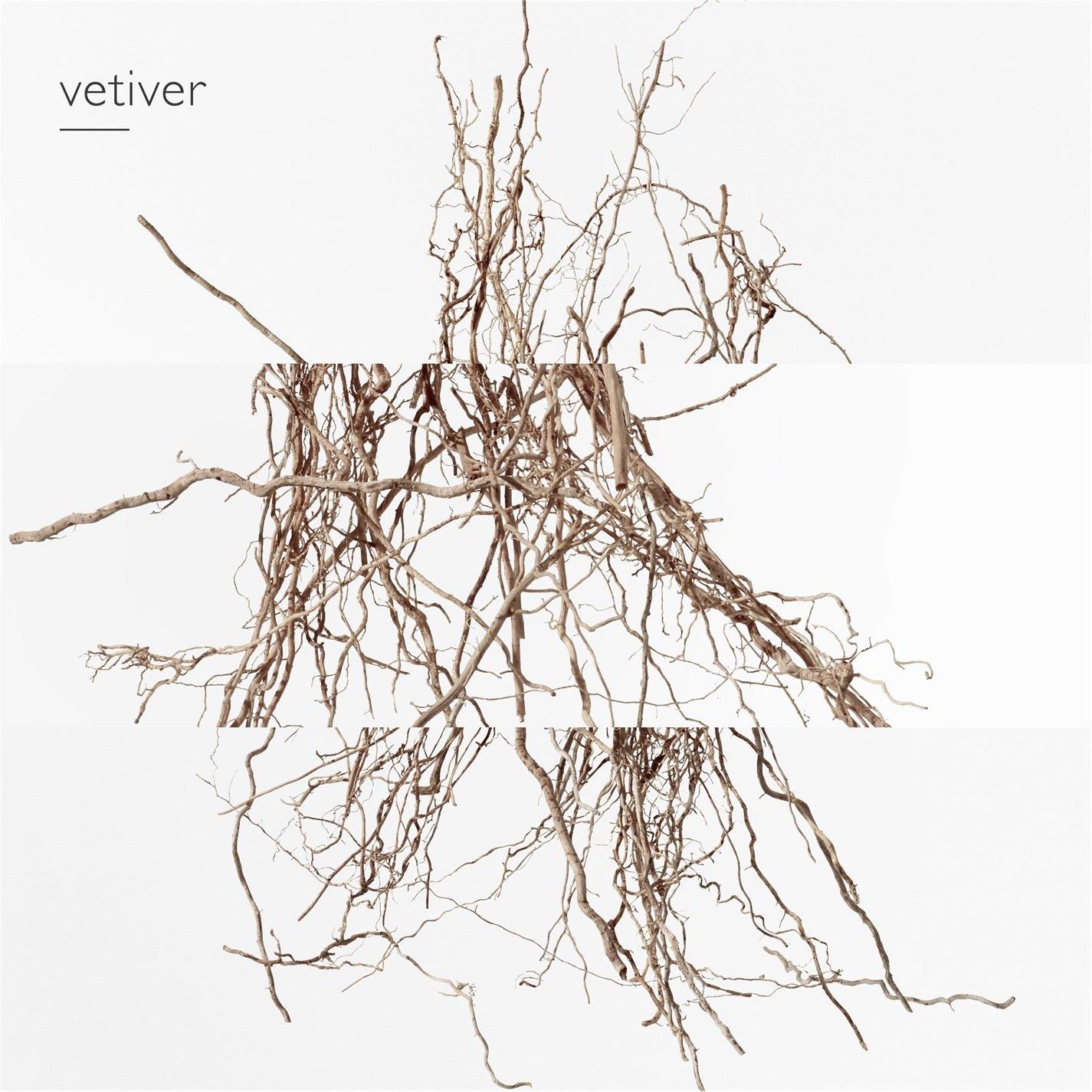 Mist - Hermes - Terre dHermes Eau Intense Vetiver Eau de parfum - 6