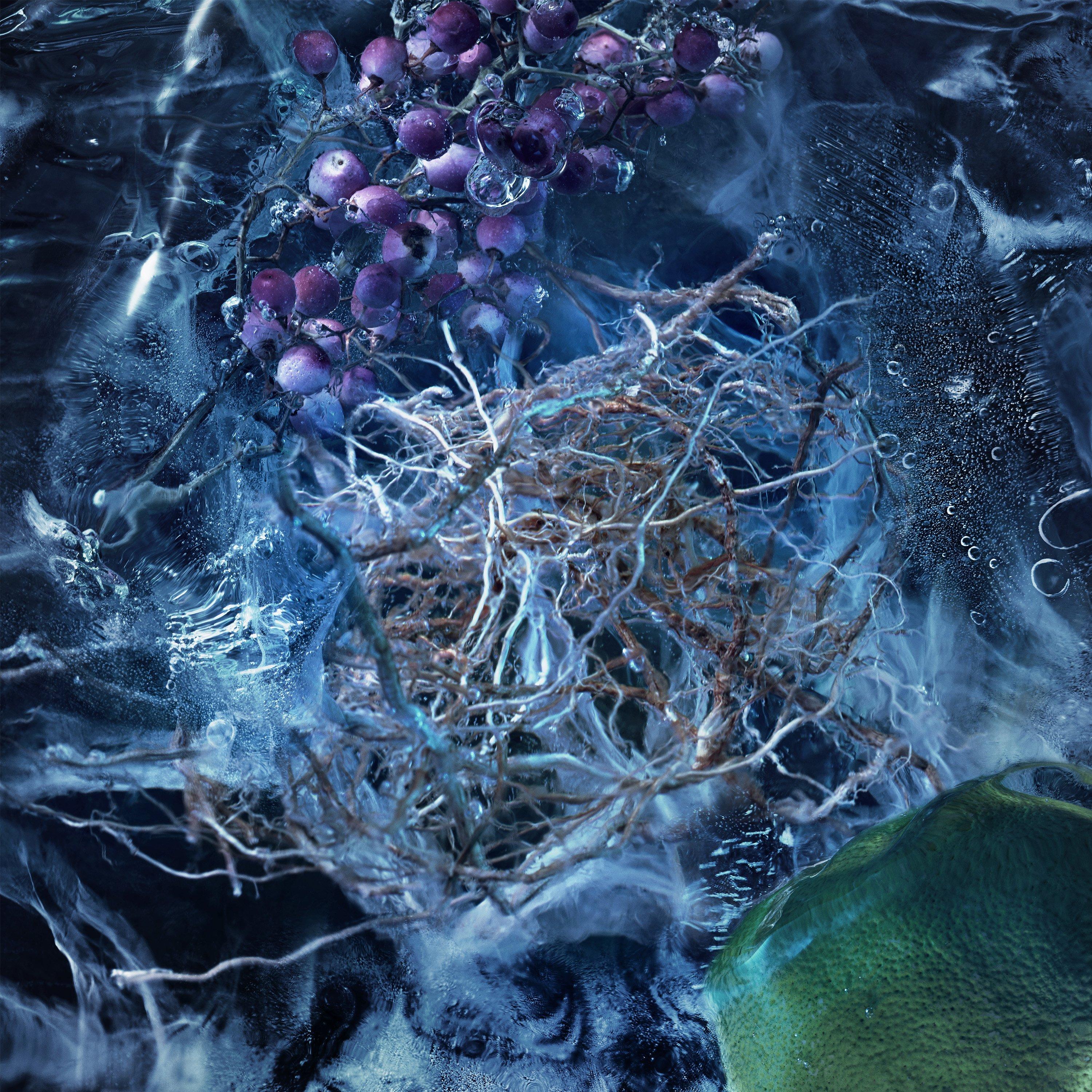 None - Moncler - Le Bois Glacé Eau de Parfum - 4