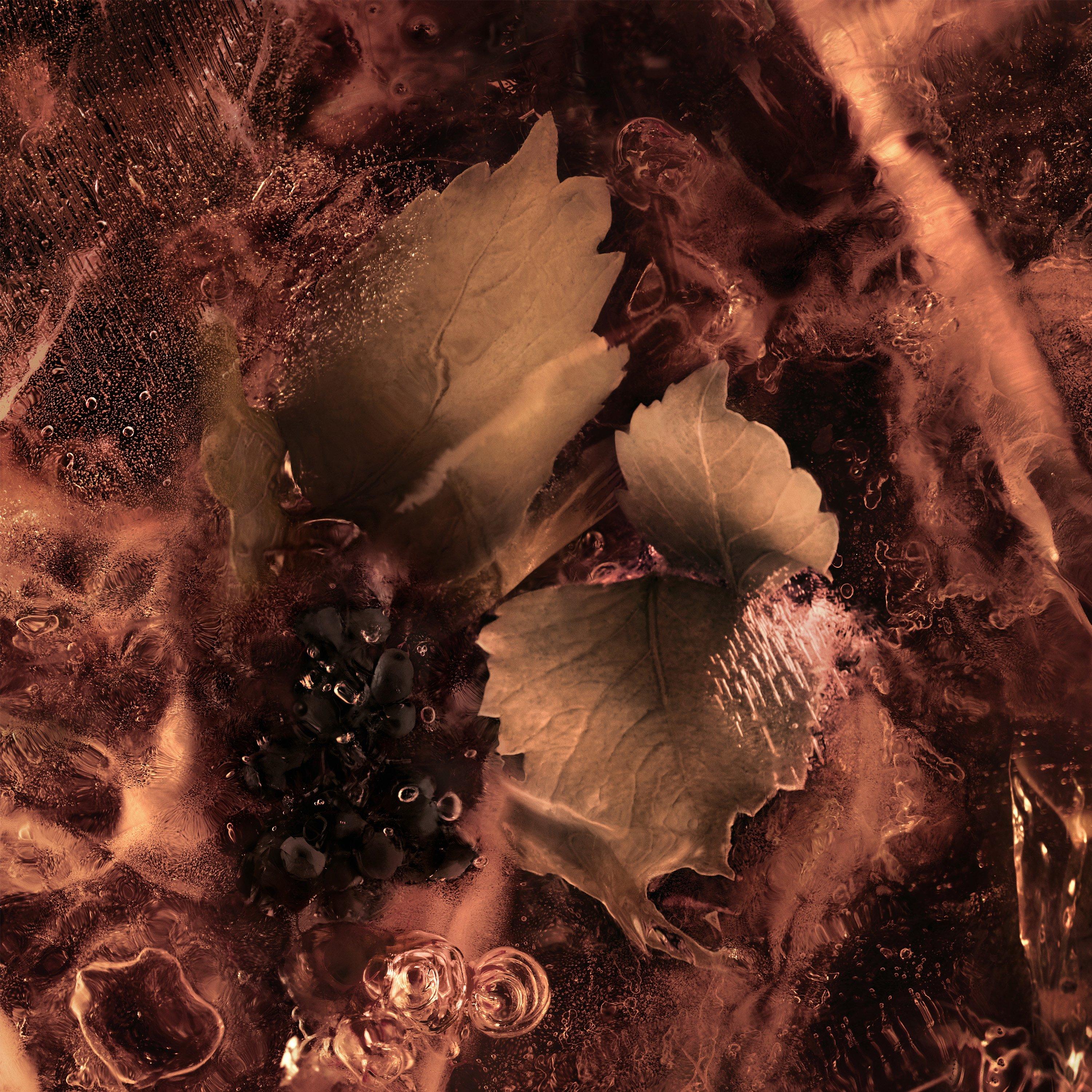 None - Moncler - Les Roches Noires Eau de Parfum - 4