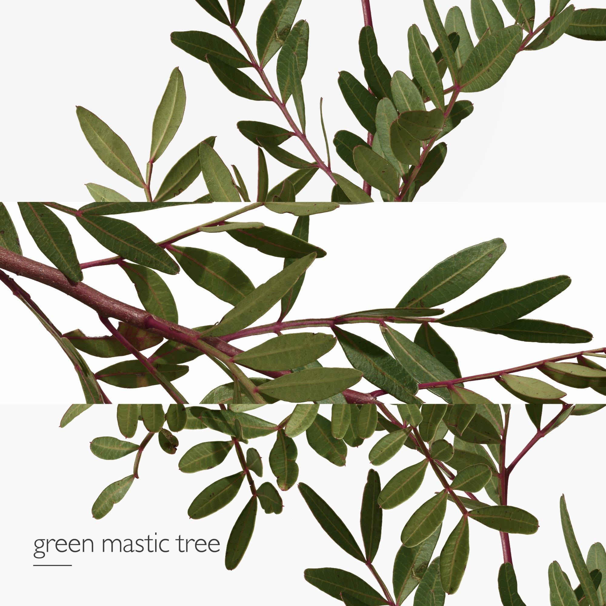 Jard Med - Hermes - Un Jardin En Méditerranée, Eau de Toilette - 5