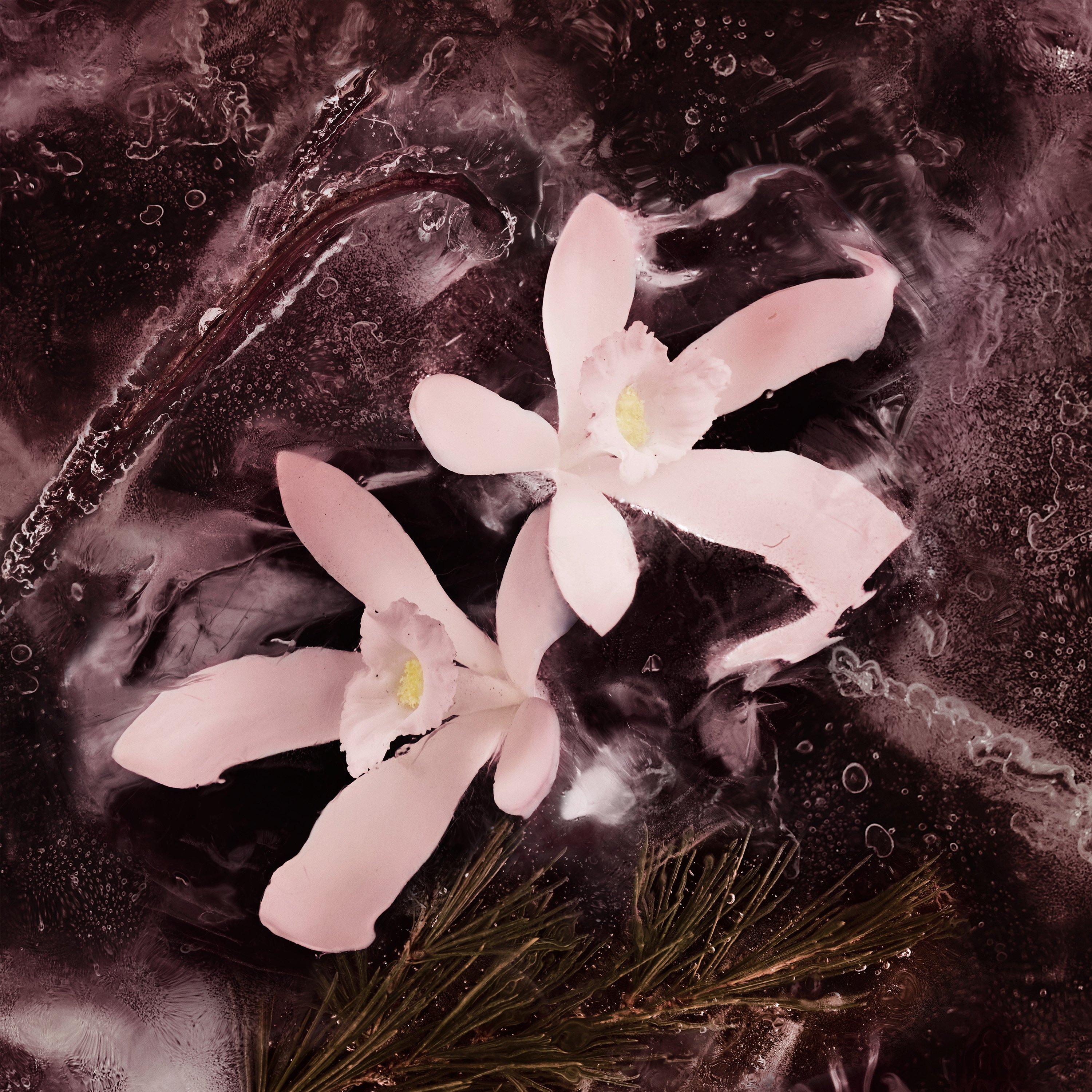 None - Moncler - Haute Montagne Eau de Parfum - 4