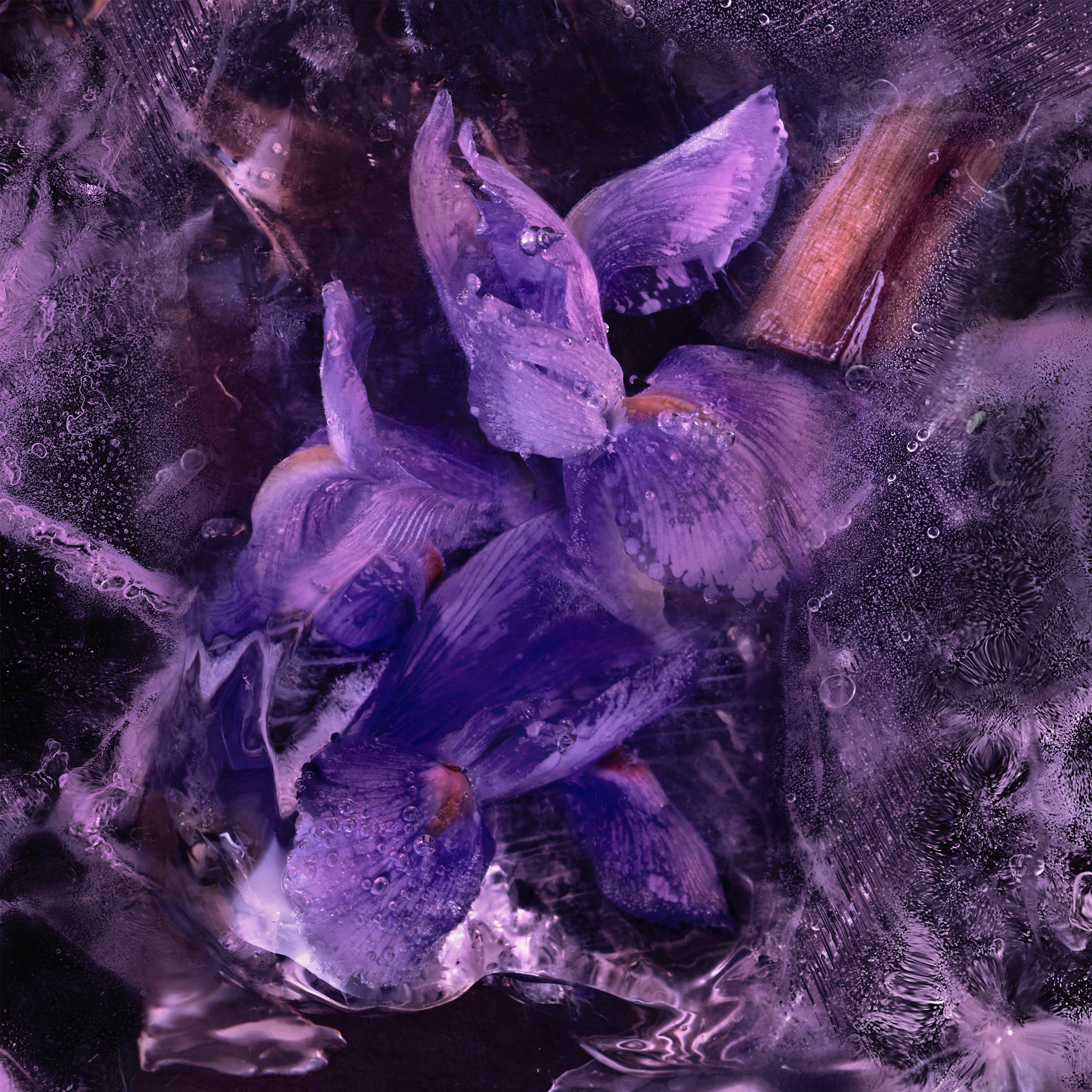 None - Moncler - Le Solstice Eau de Parfum - 4