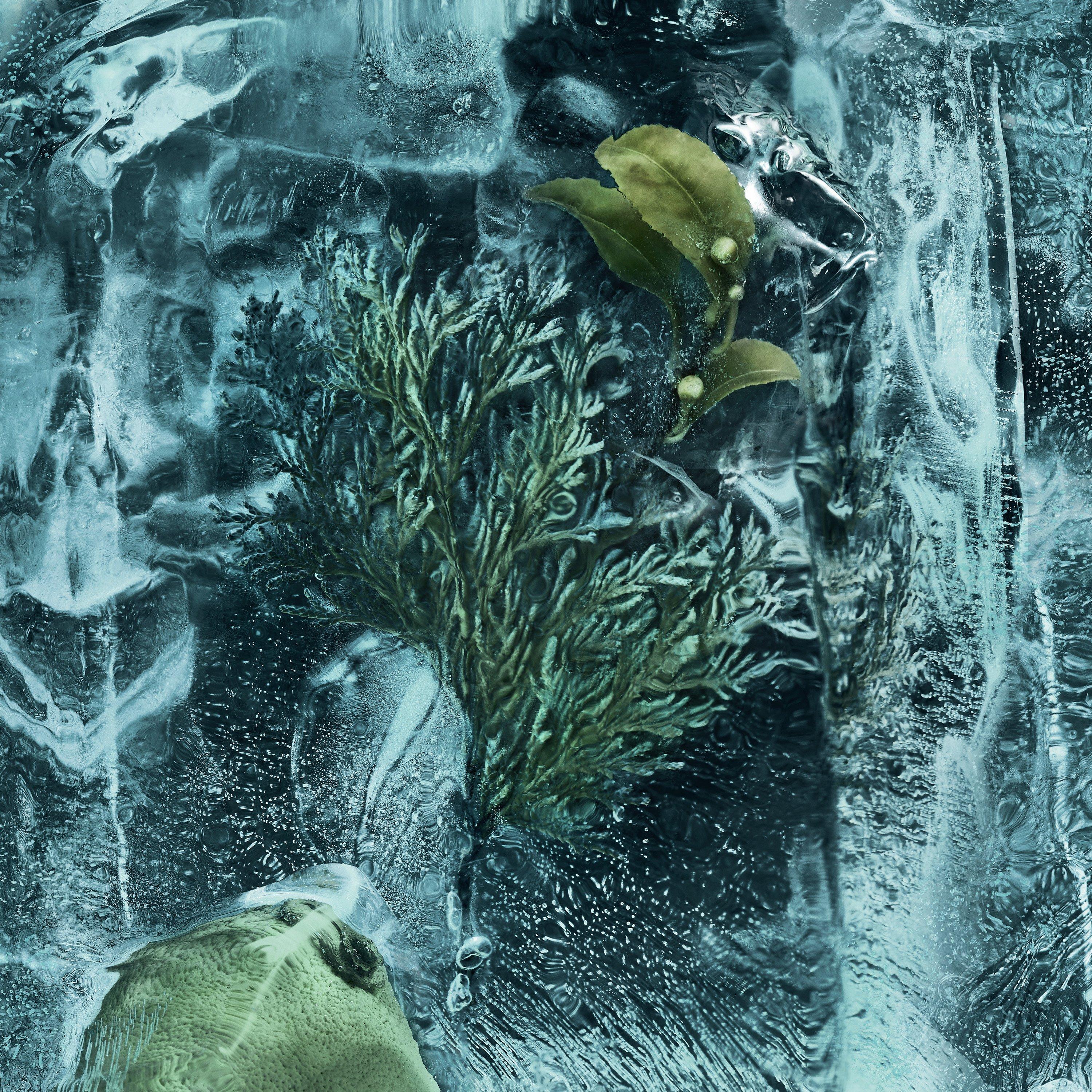 None - Moncler - La Cordée Eau de Parfum - 4