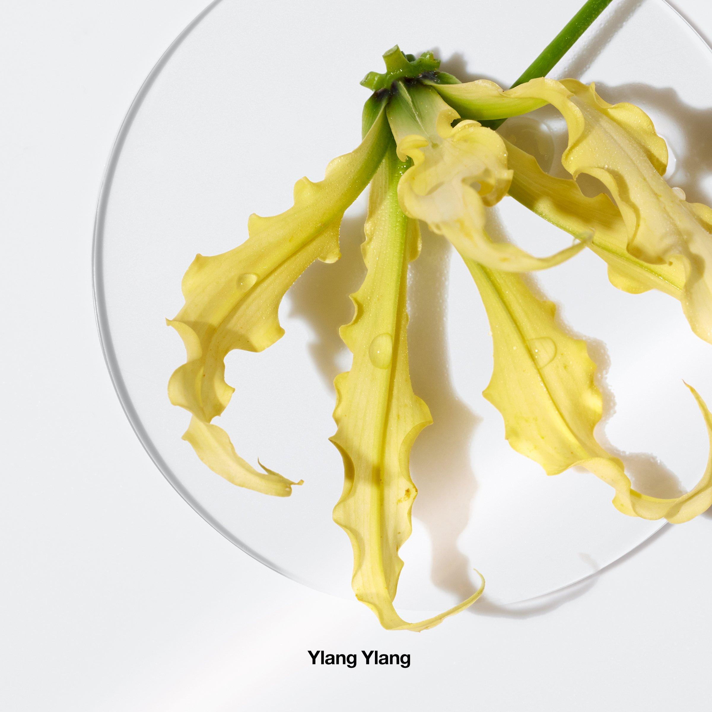 Mist - Clinique - Aromatics Elixir Perfume Spray - 3