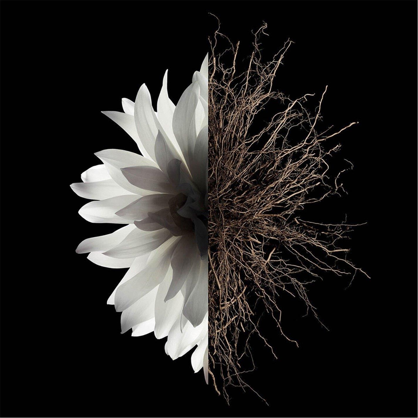 Mist - GIVENCHY - LInterdit Eau de Parfum - 3