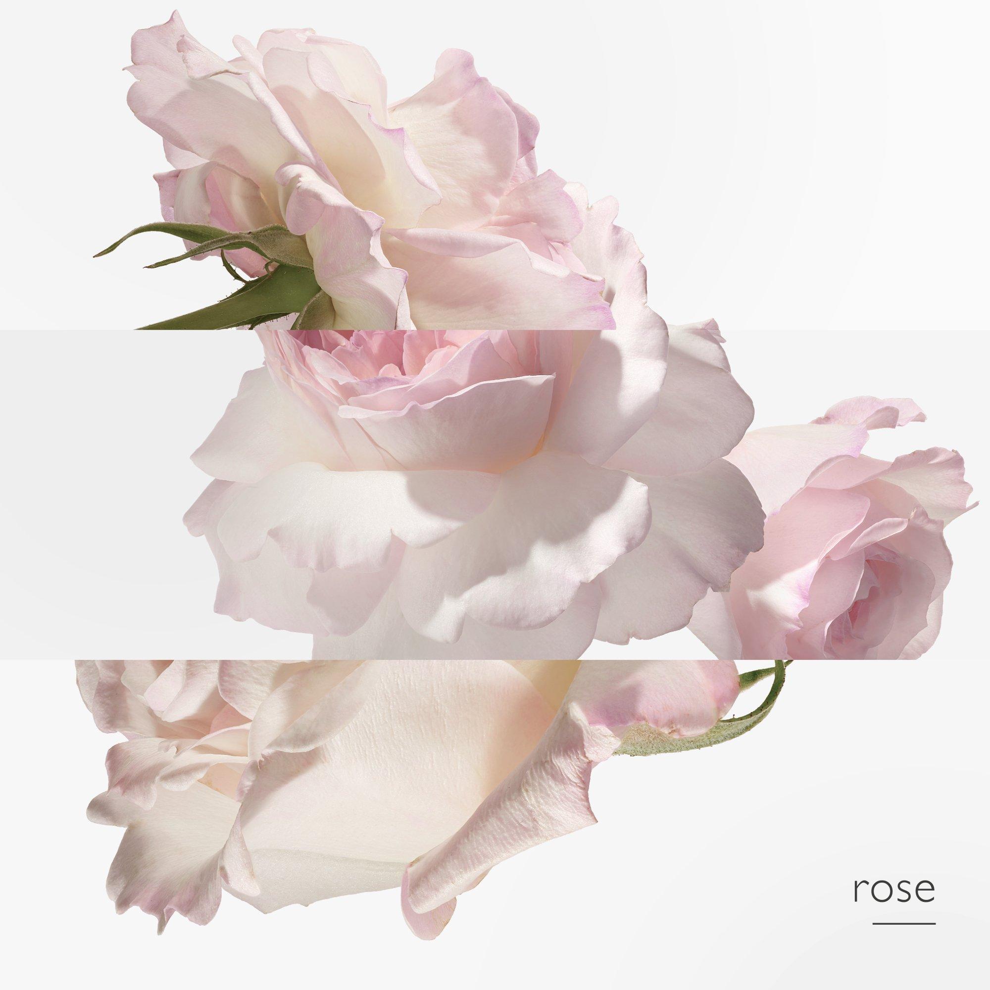 Mist - Hermes - Concentré de Pamplemousse Rose Eau de Toilette - 4