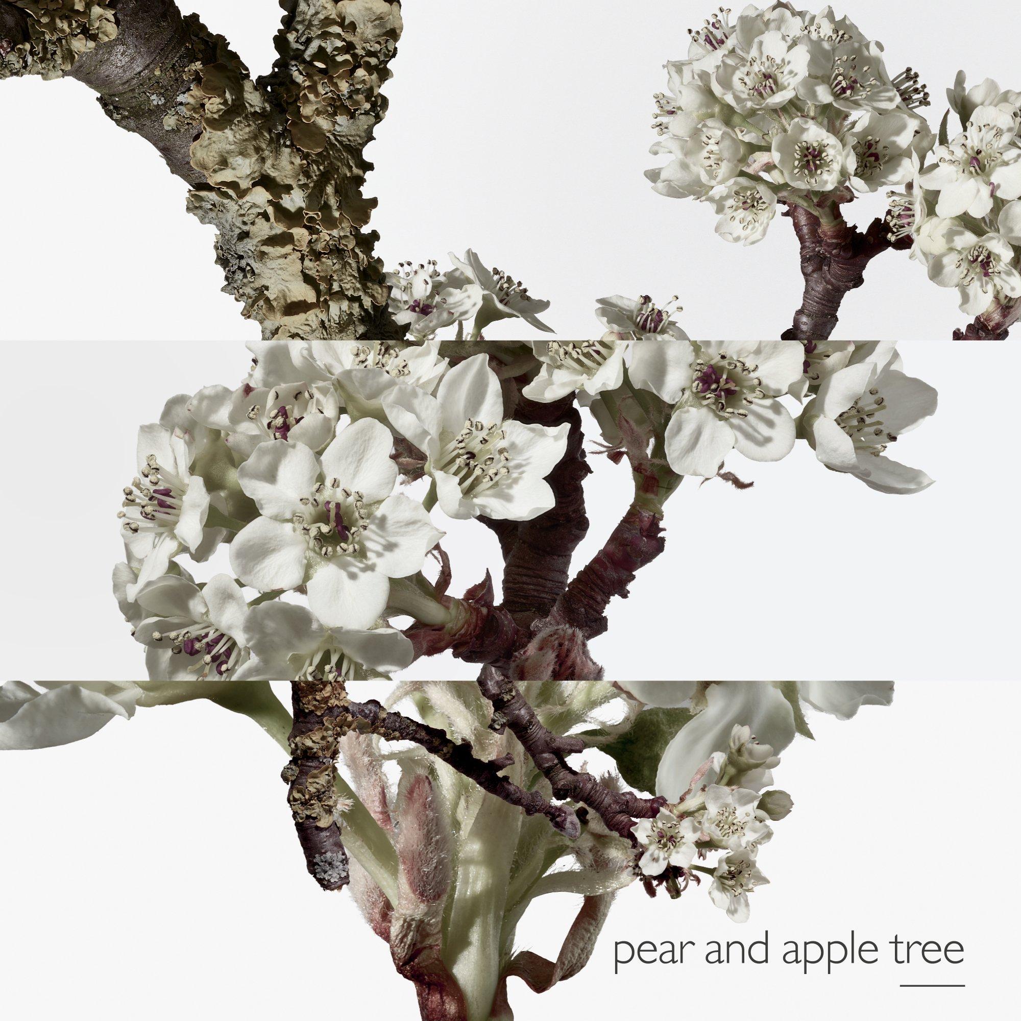 Mist - Hermes - Un Jardin Sur Le Toit, Eau De Toilette - 4