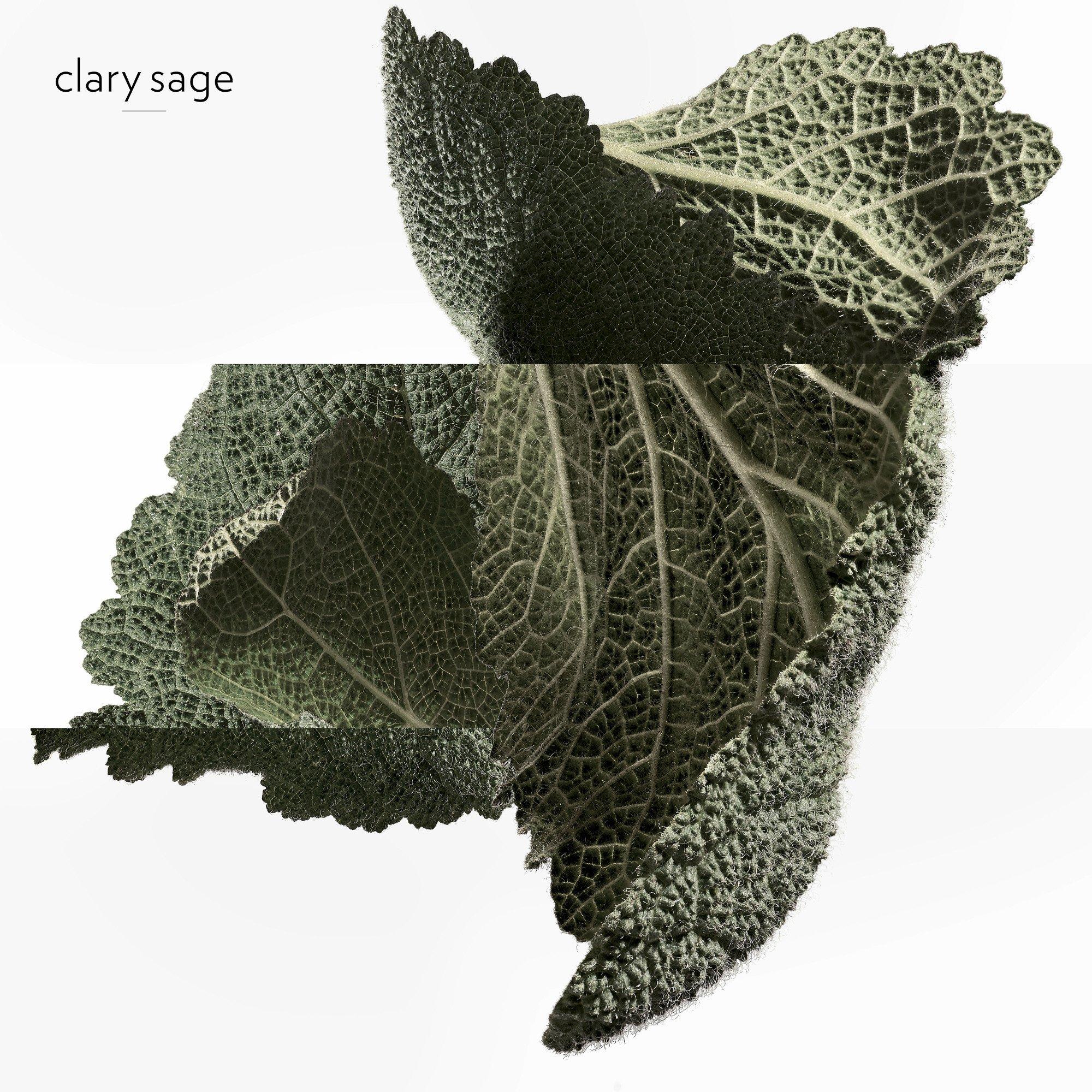 Clear - Hermes - H24 Eau de Parfum - 5