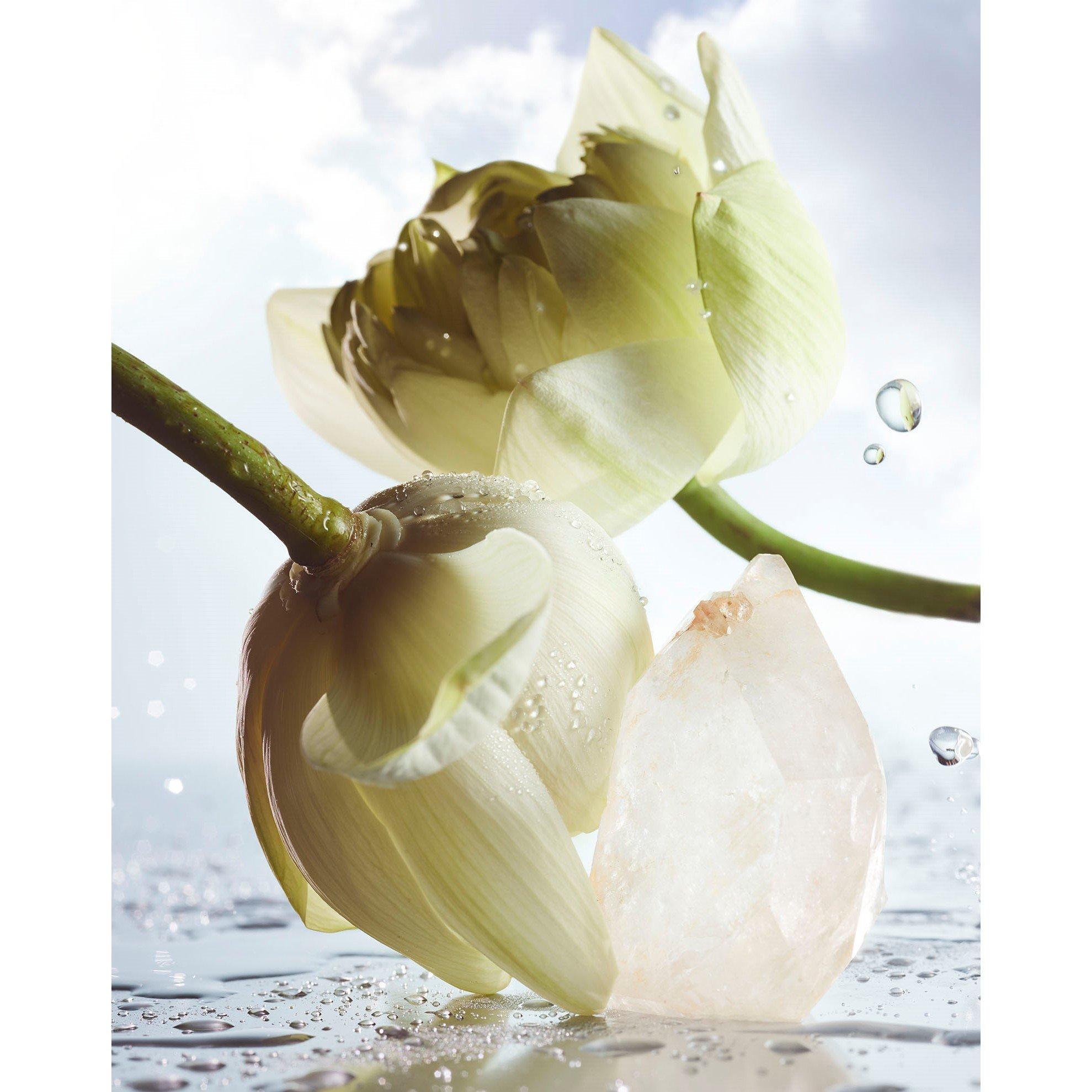 Mist - Bvlgari - Rain Essence Eau de Parfum - 4