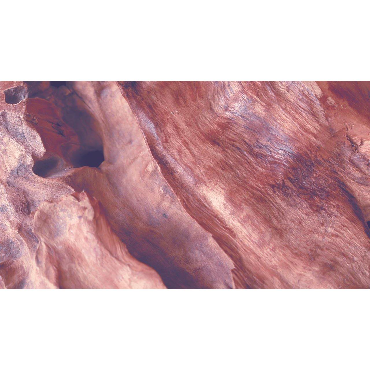 Mist - Estee Lauder - Beautiful Magnolia Eau de Parfum Spray - 4