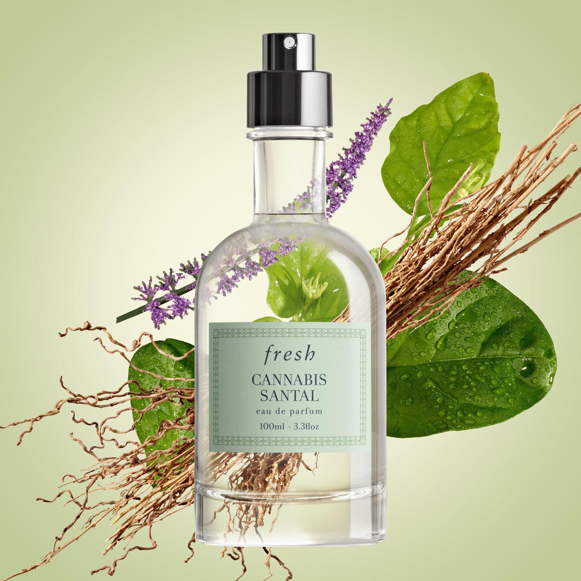 Clear - FRESH - Fresh Cannabis Santal Eau de Parfum - 5